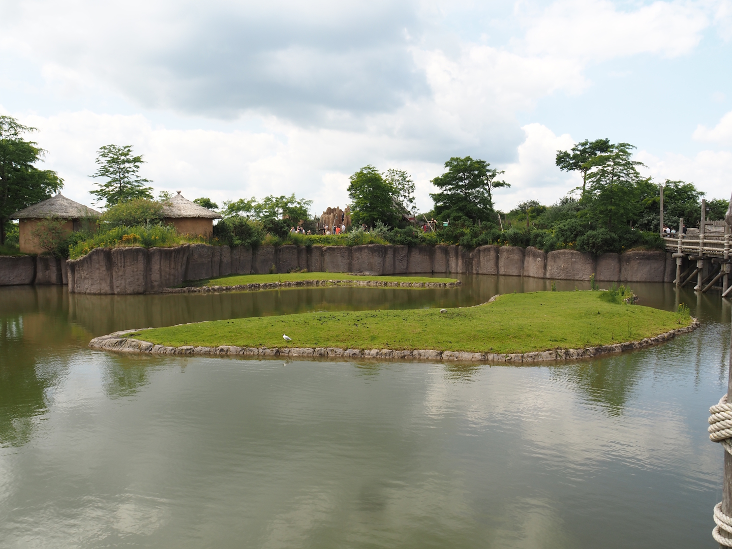 Serenga - Savanna exhibit - Defassa waterbuck islands, 2024-06-23
