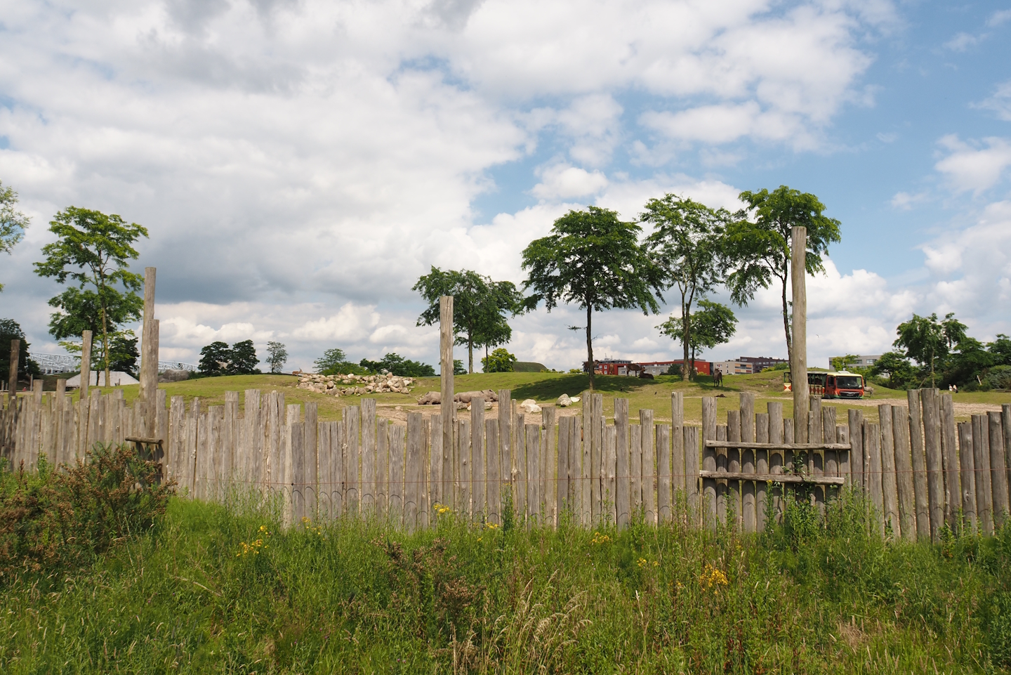 Serenga - Savanna exhibit seen from safari truck tour station, 2024-06-23