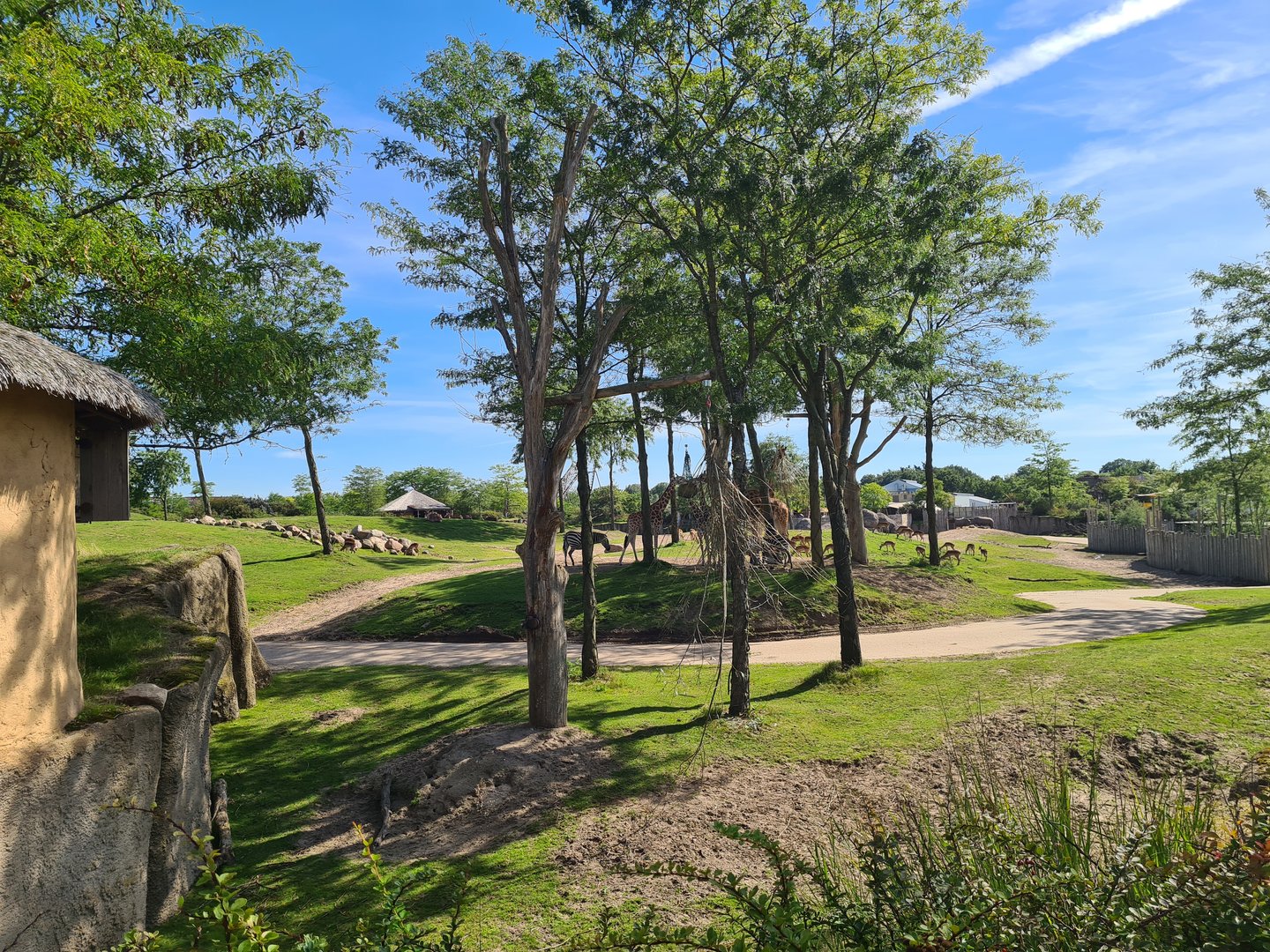 Serenga - Serenga Safari yard