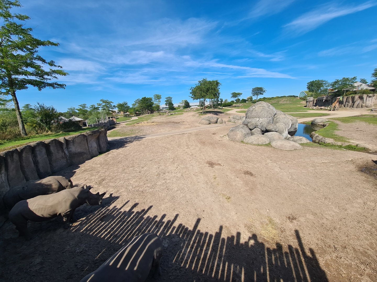 Serenga - Serenga Safari