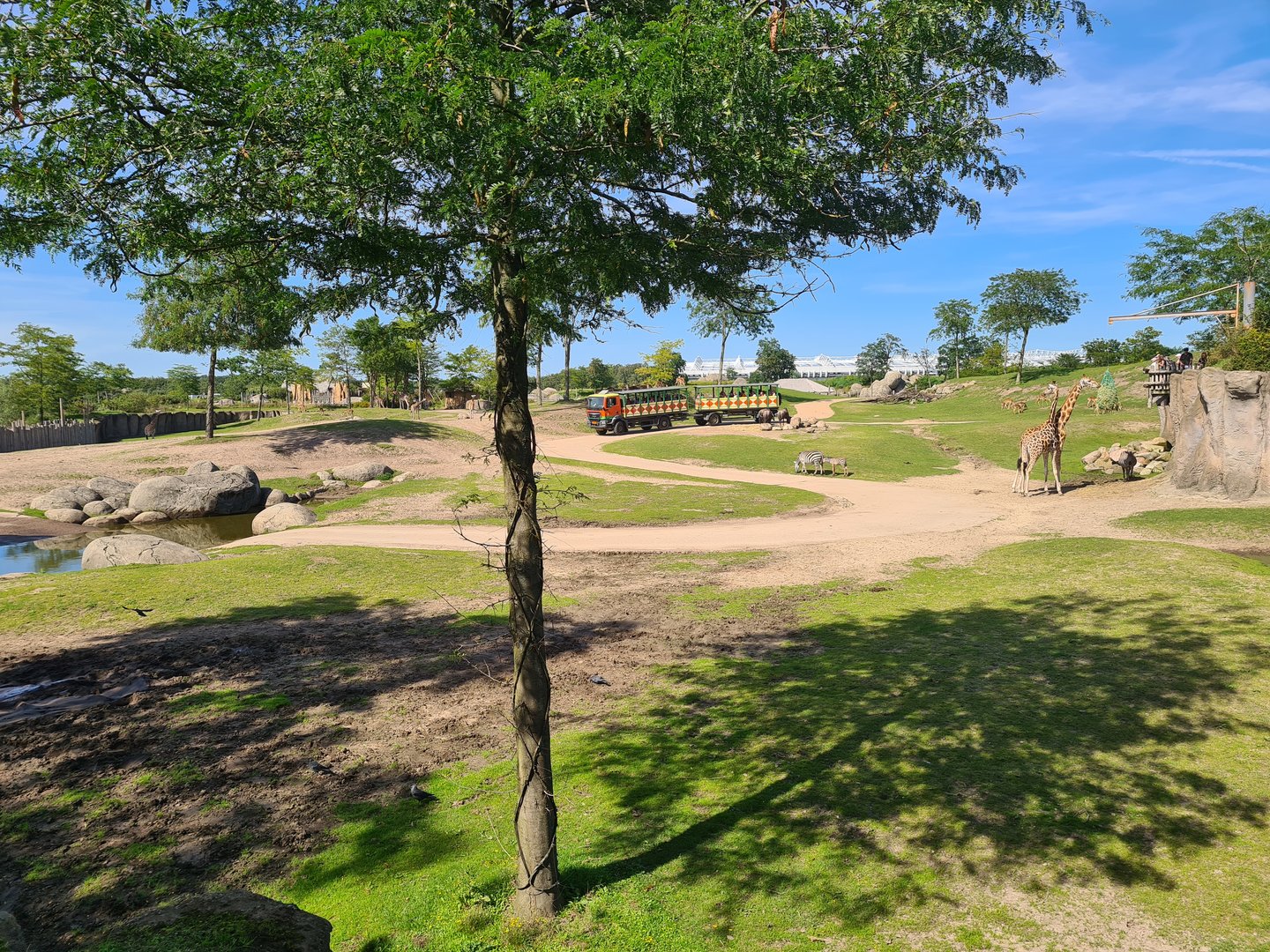 Serenga - Serenga Safari