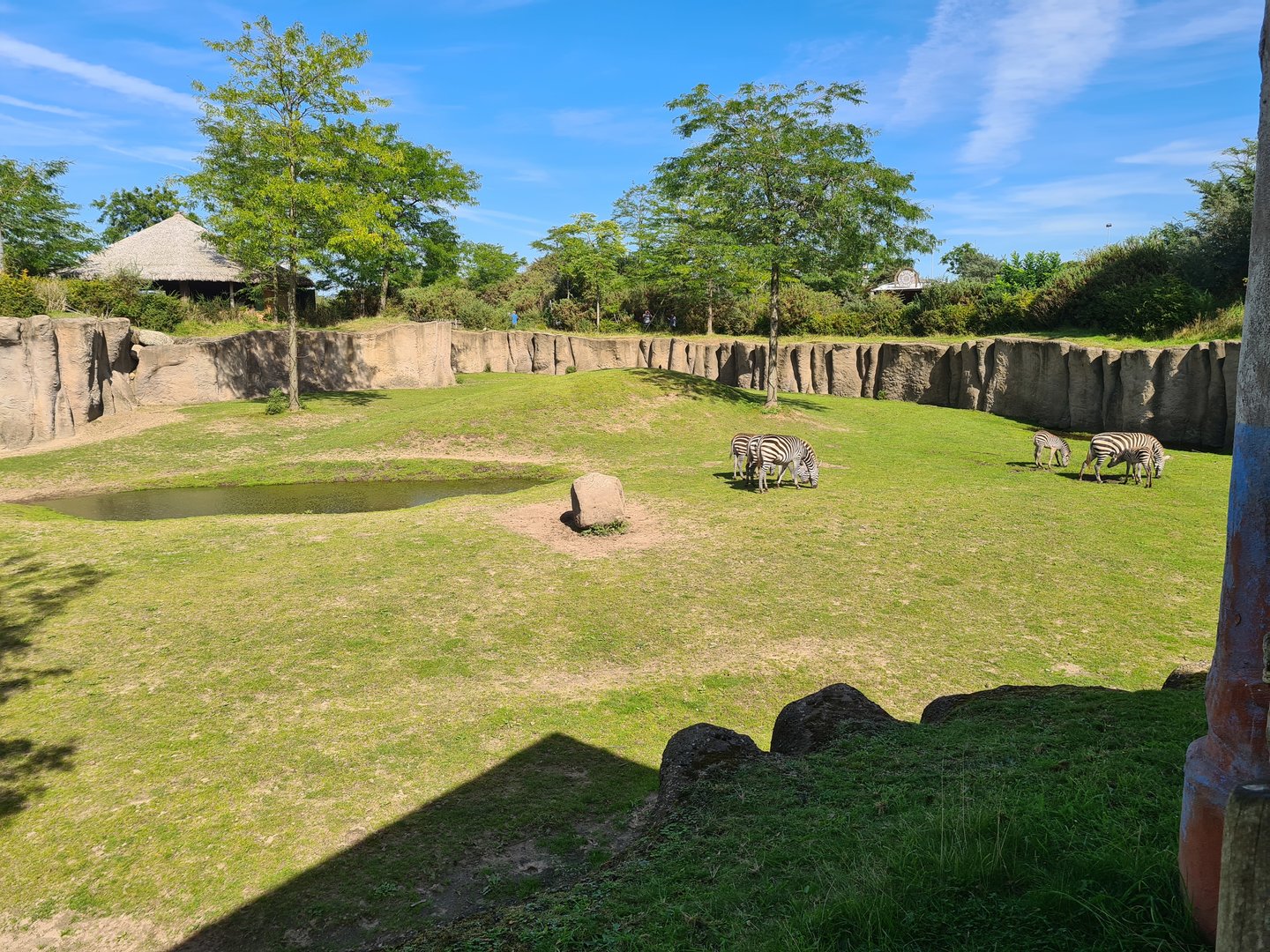 Serenga - Serenga Safari