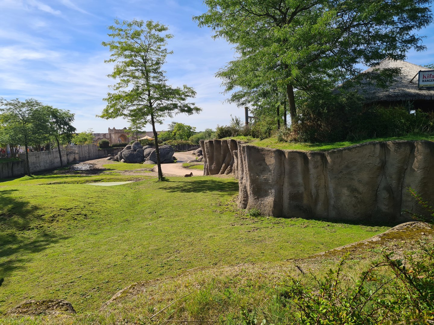 Serenga - Serenga Safari