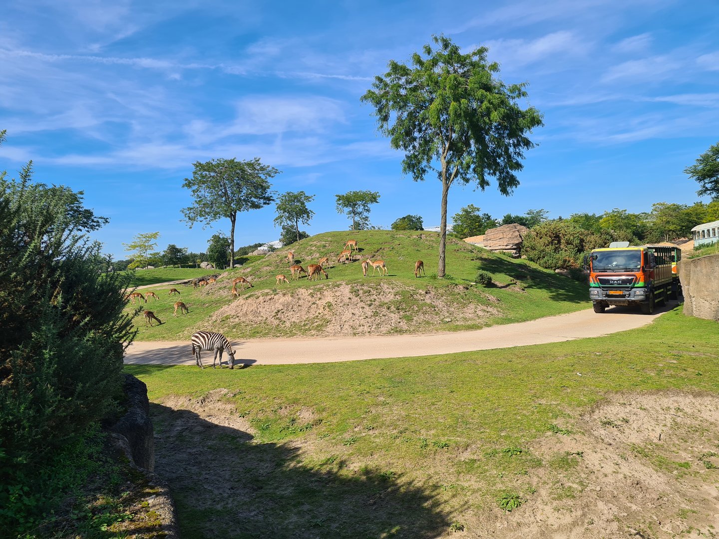 Serenga - Serenga Safari