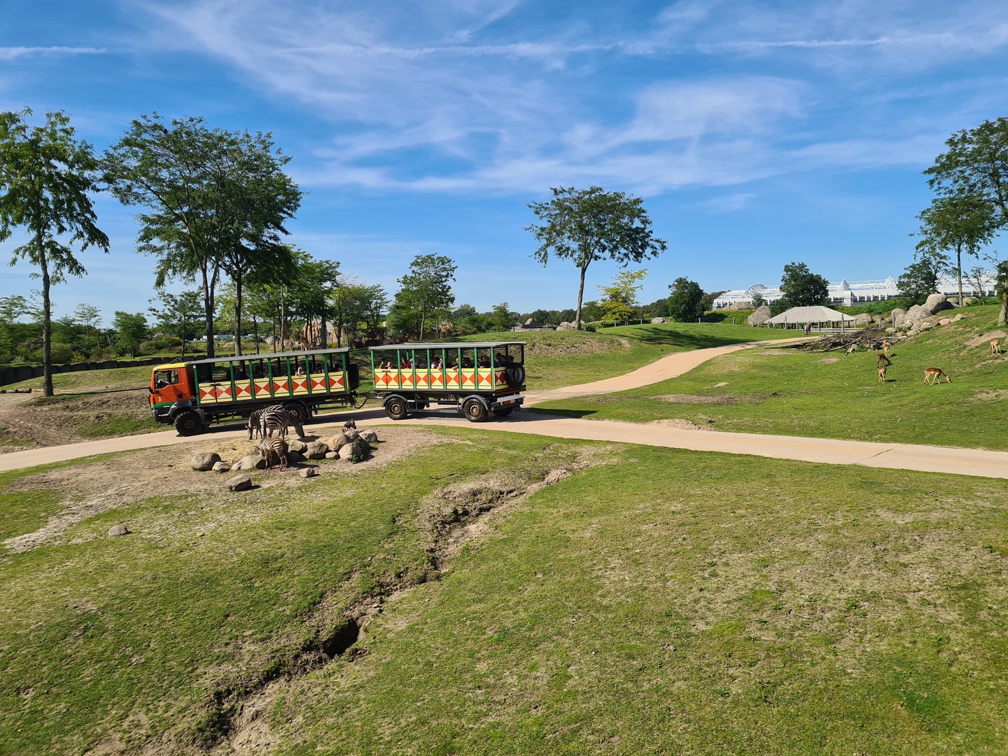 Serenga - Serenga Safari