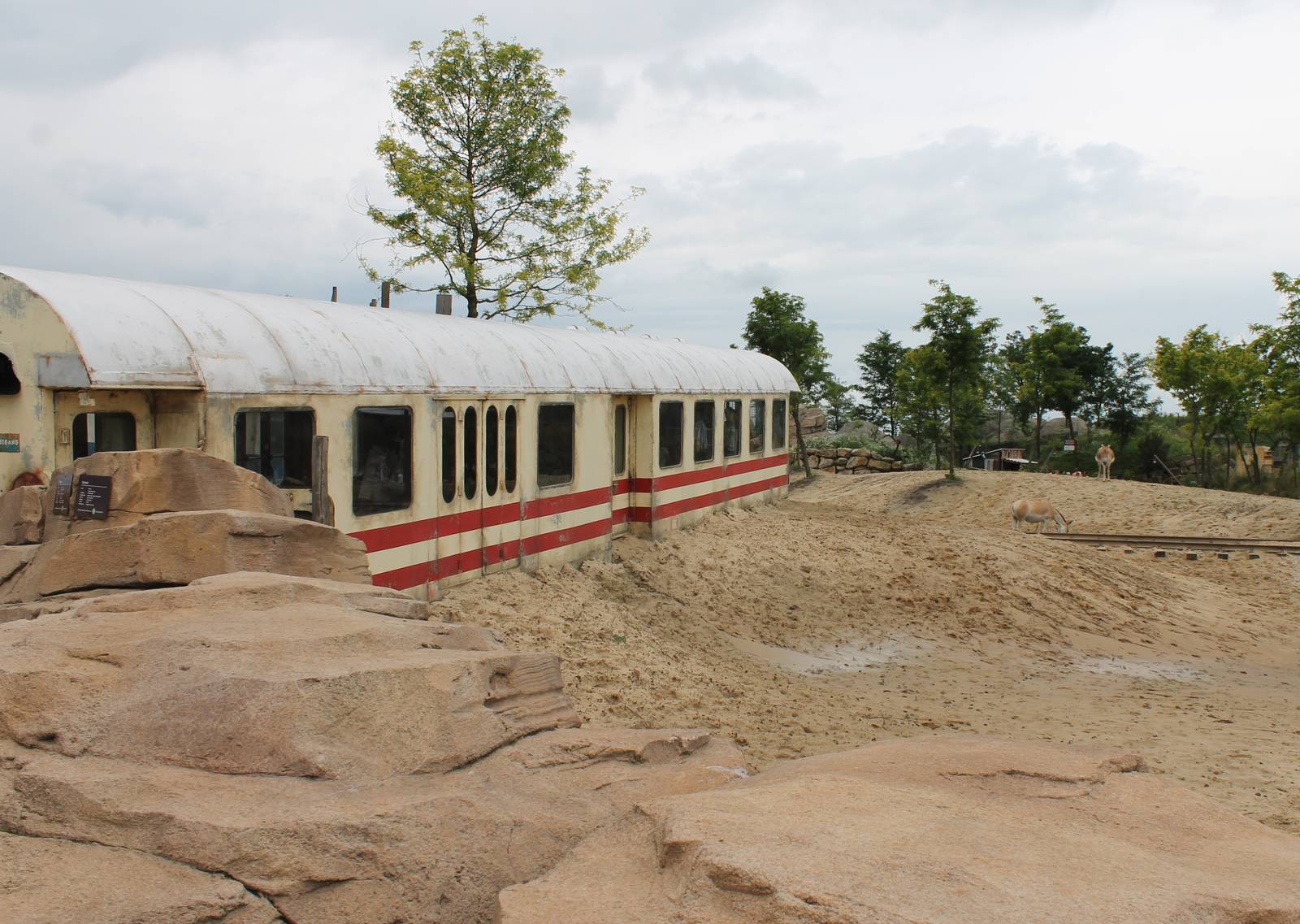 SERENGA - Stranded train / way through the Asian plain