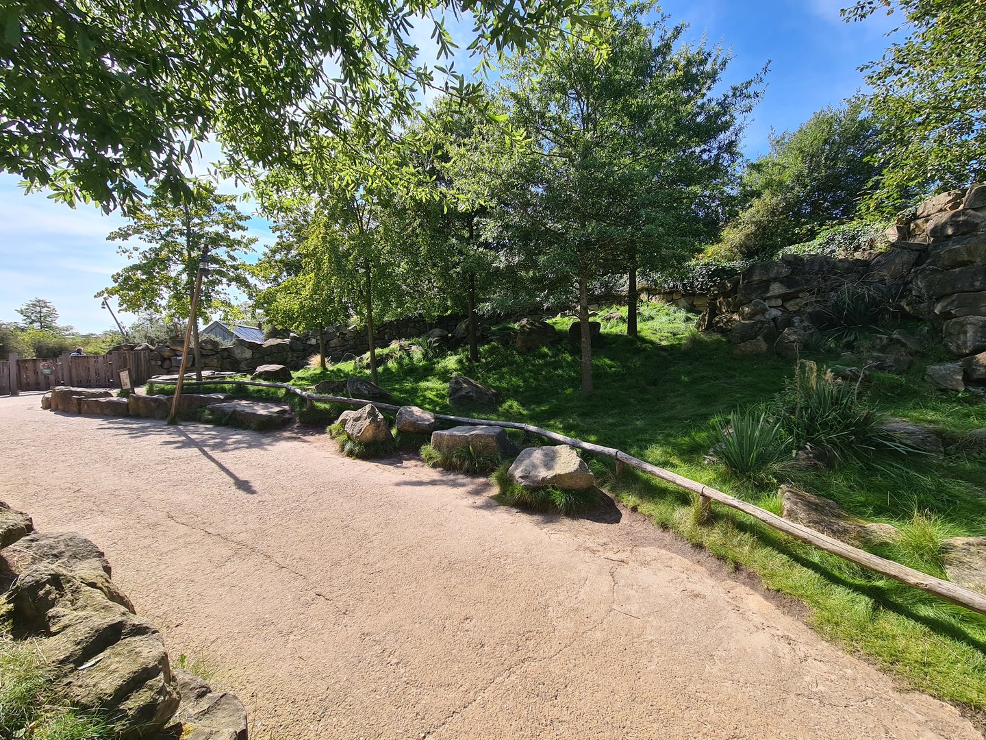 Serenga - Swamp wallaby walkthrough