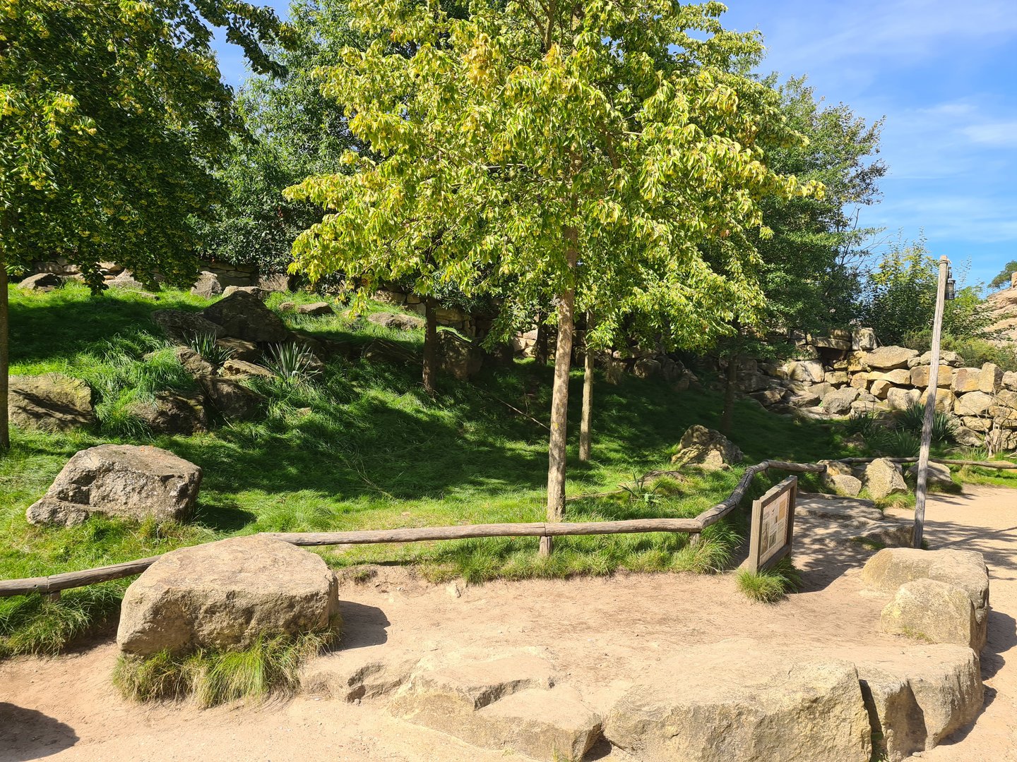 Serenga - Swamp wallaby walkthrough