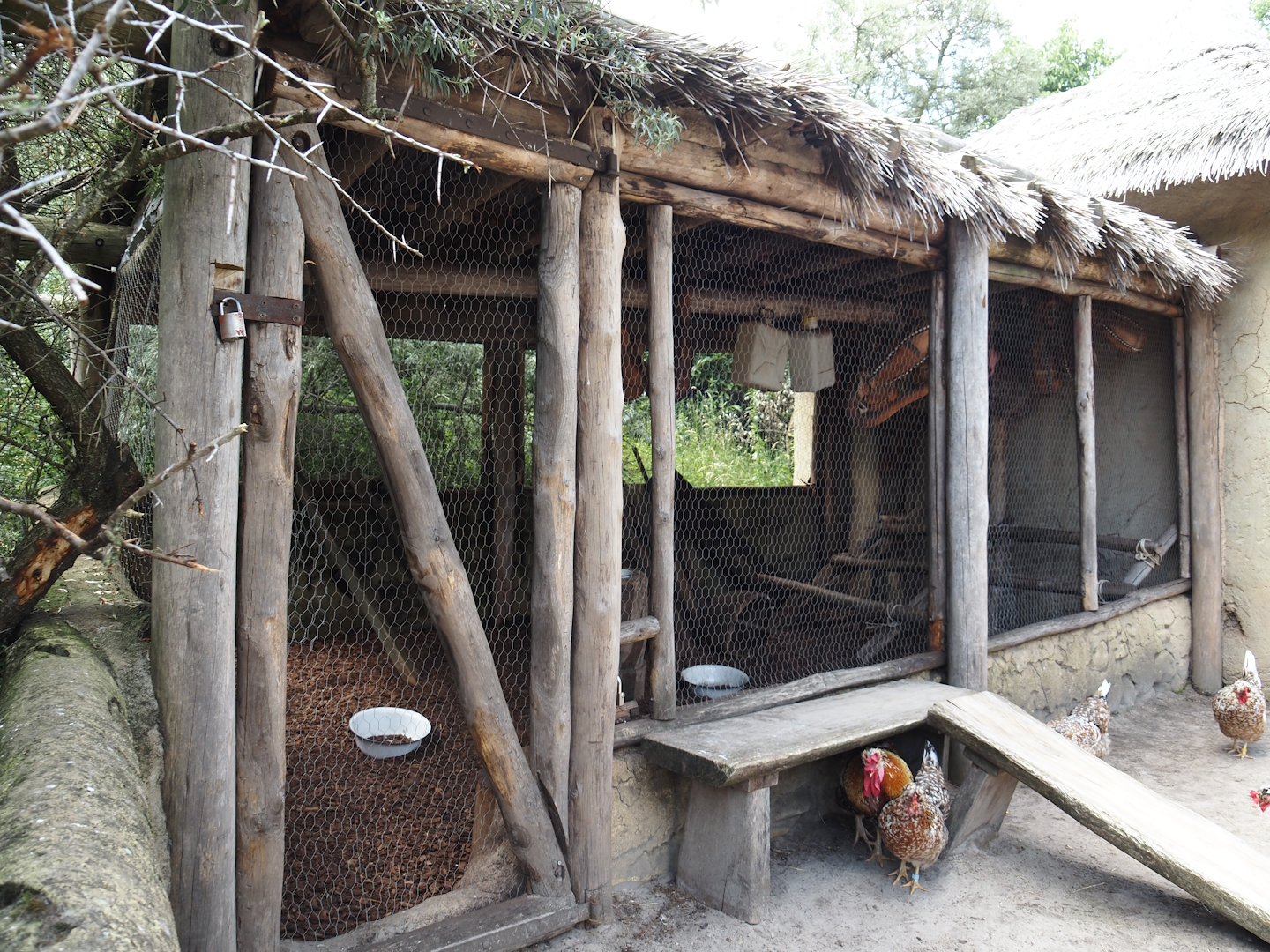 Serenga - Swedish flower chicken aviary, 2024-06-23