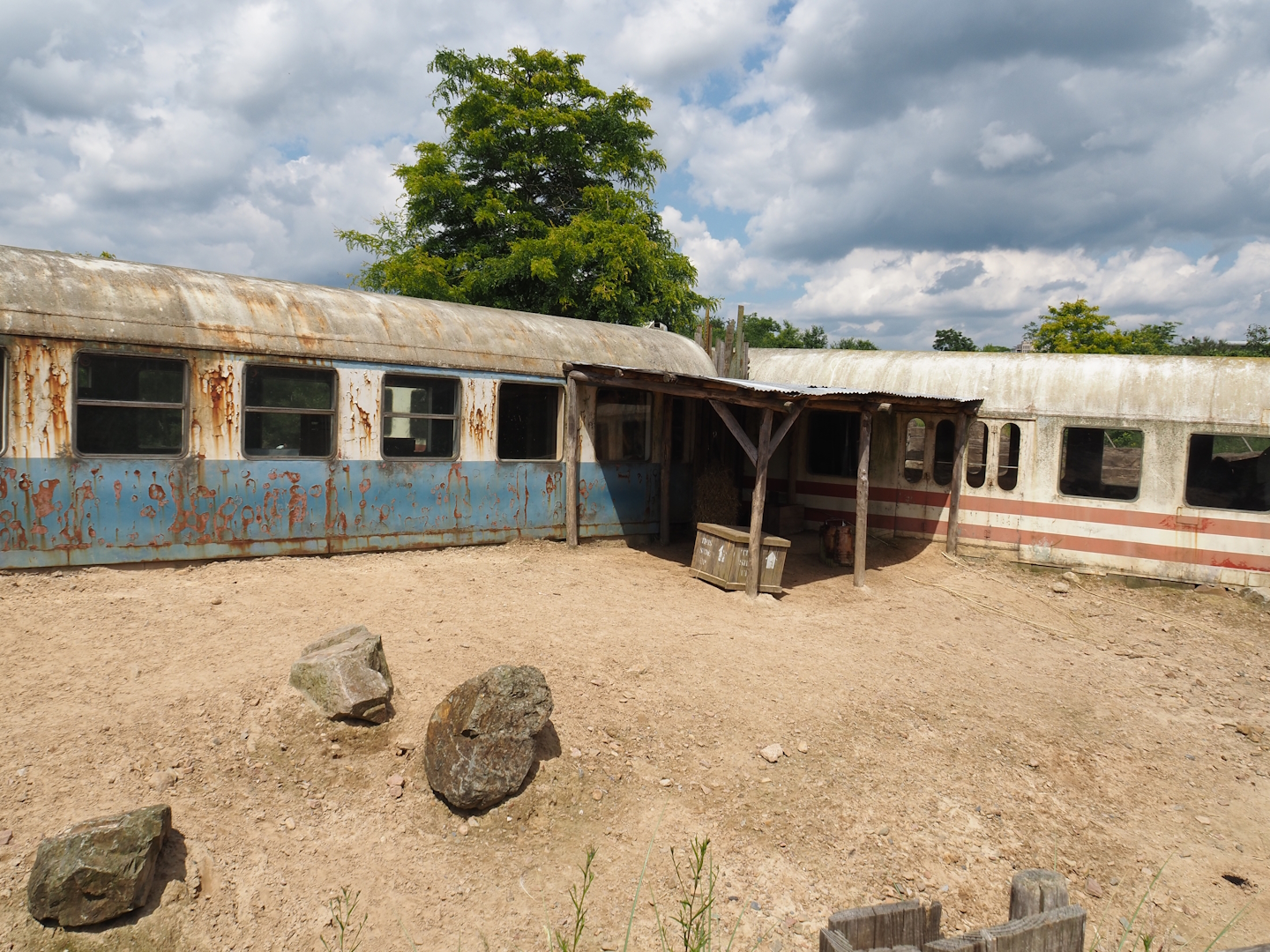 Serenga - Vicuña and Greater rhea exhibit and derailed train viewing area, 2024-06-23