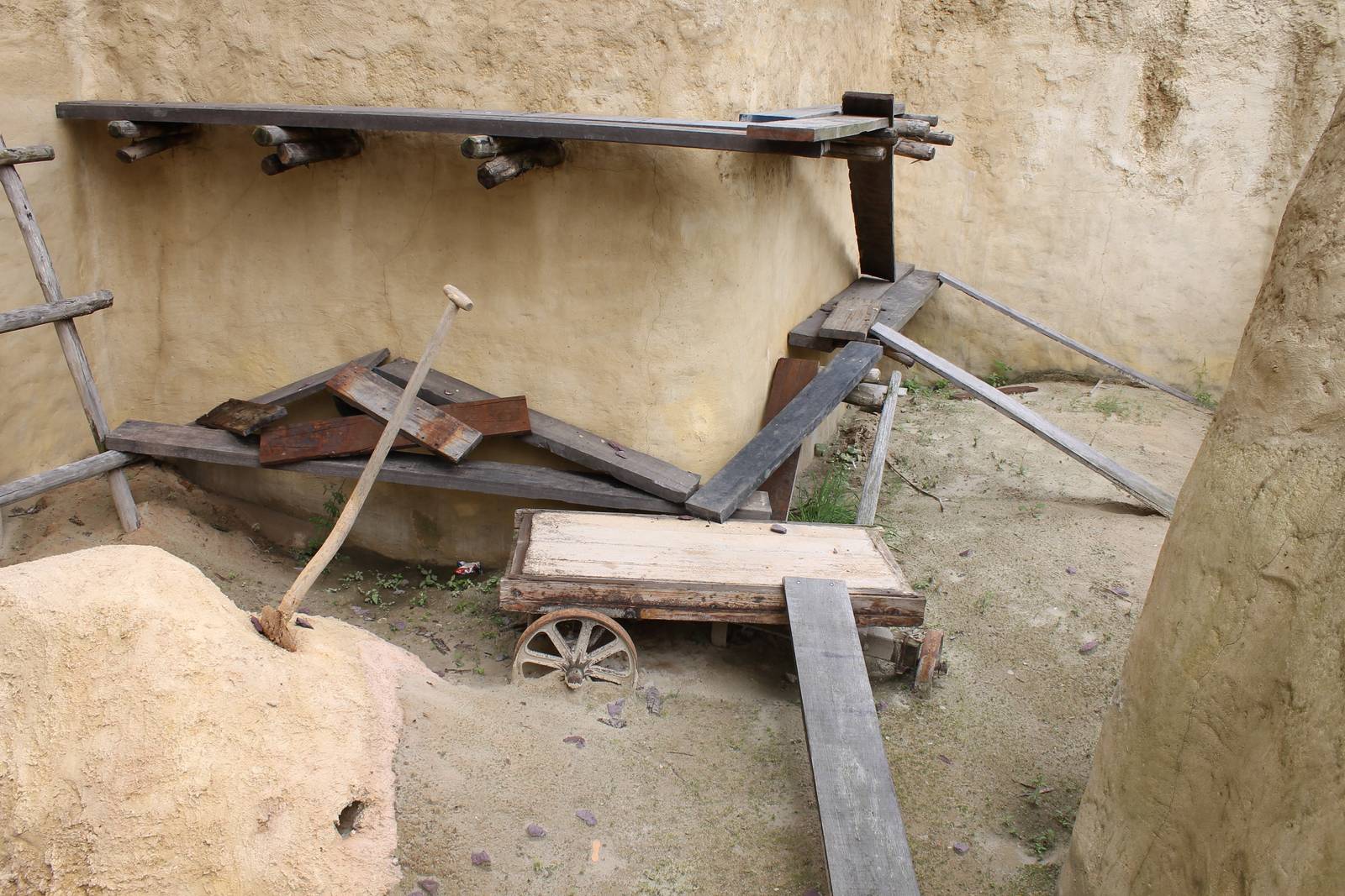 SERENGA - view in empty enclosure