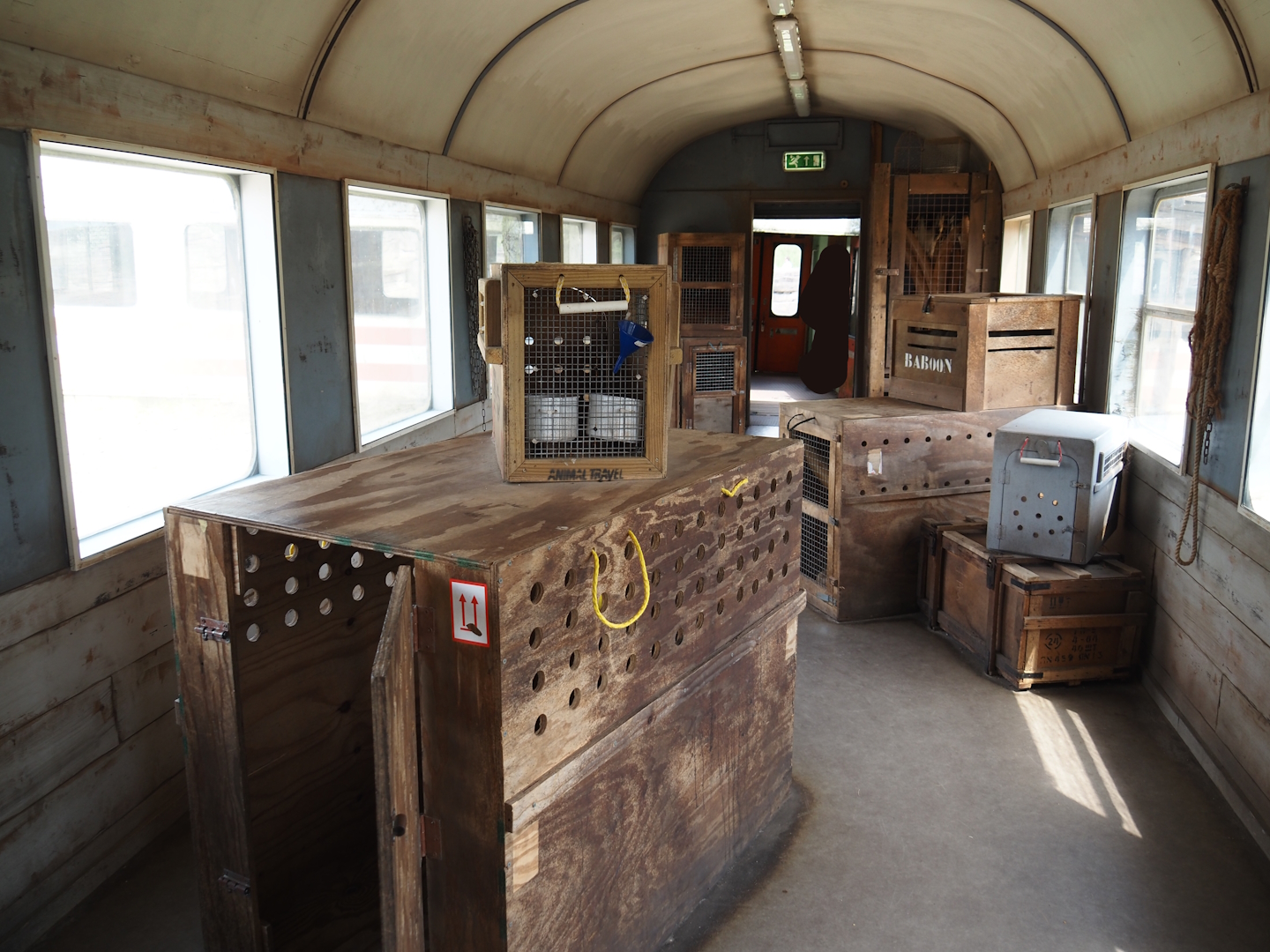 Serenga - View inside derailed train viewing area with poachers' hide-out theming, 2024-06-23