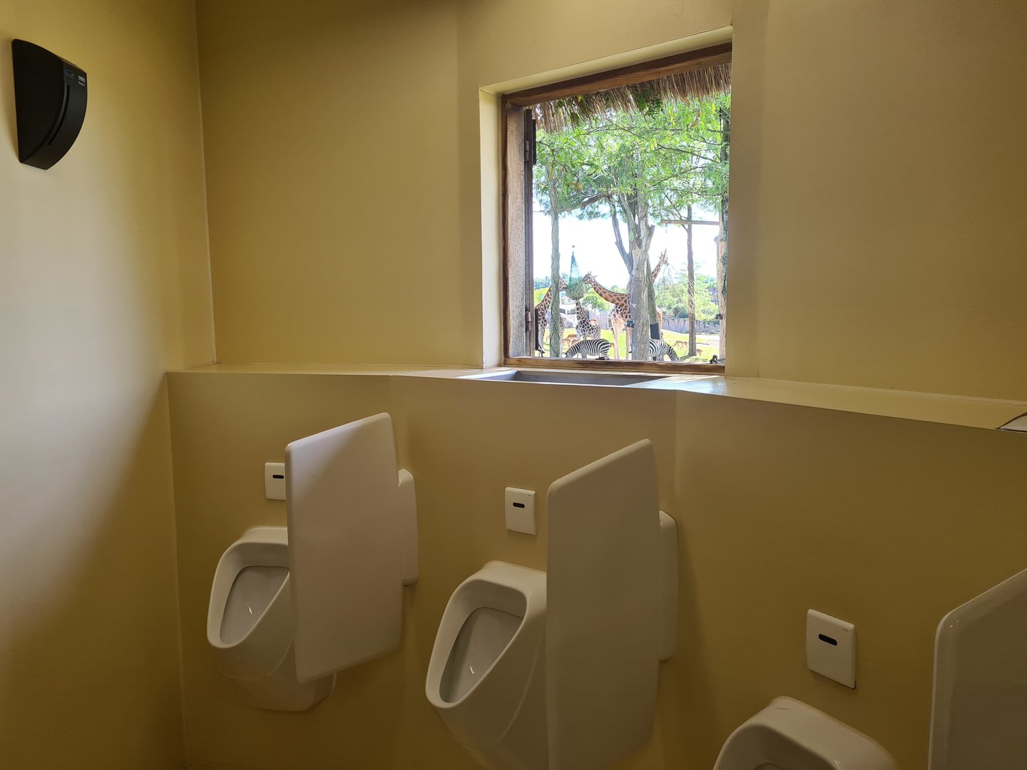 Serenga - View of Serenga Safari from toilets