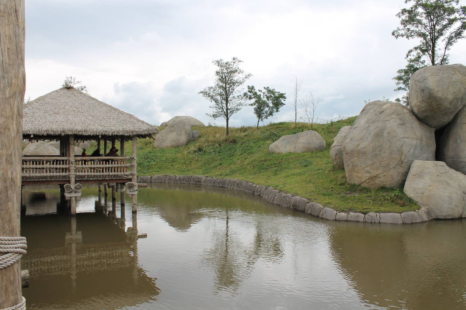 SERENGA - Viewing-point Lions