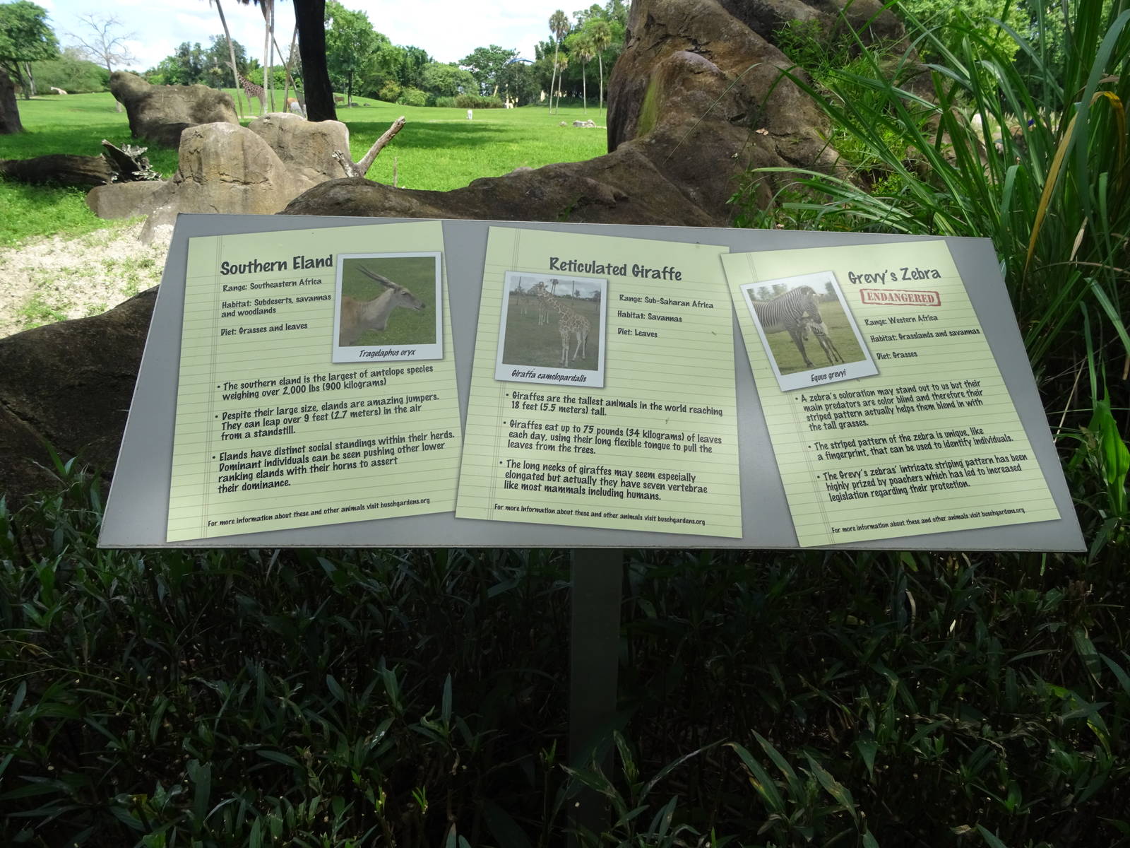 Serengeti Plain Signs at Busch Gardens Tampa