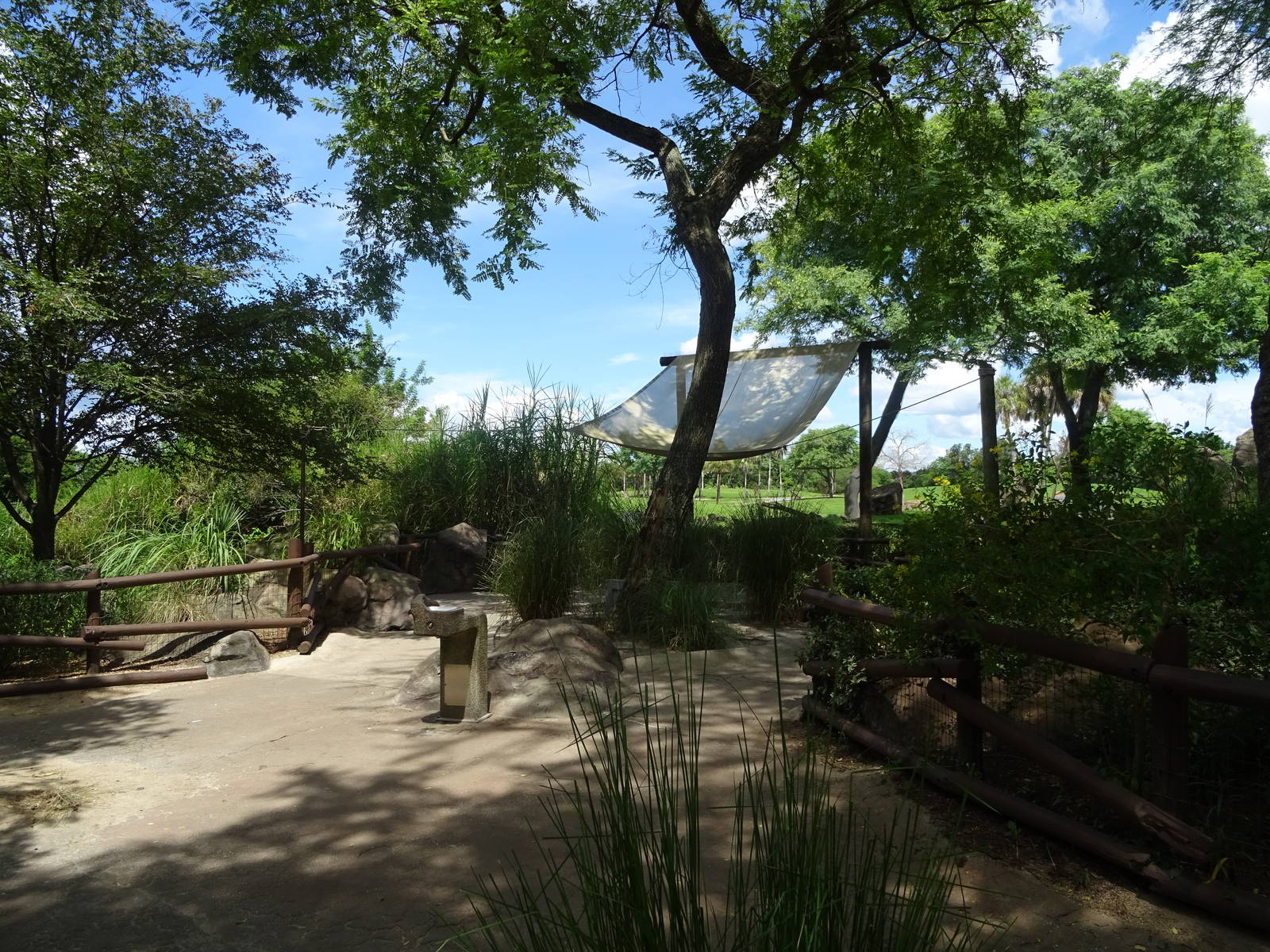 Serengeti Plain Viewing Area at Busch Gardens Tampa