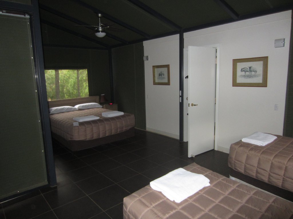 Serengeti Room