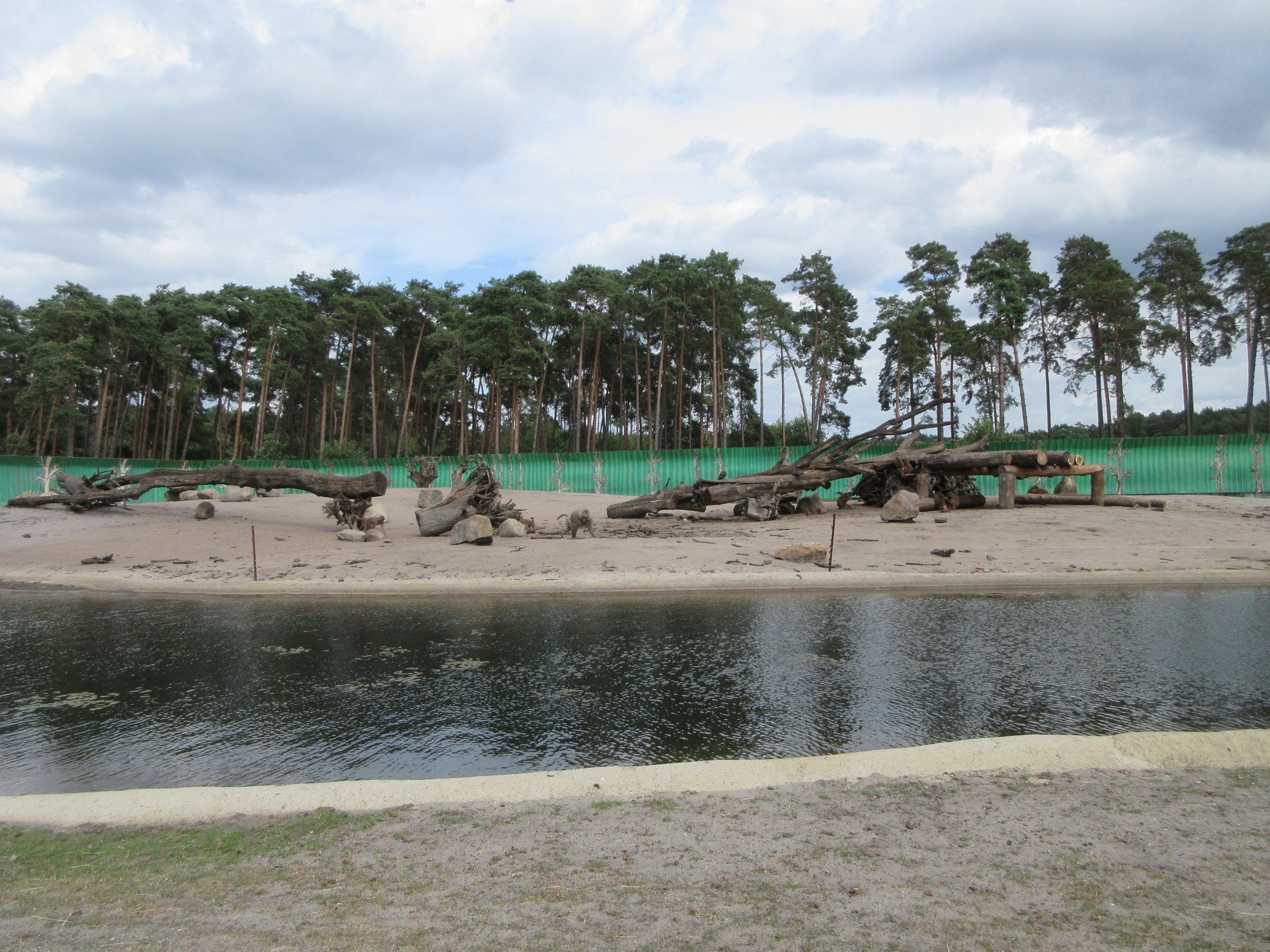 Serengeti Safari - Baboon Exhibit