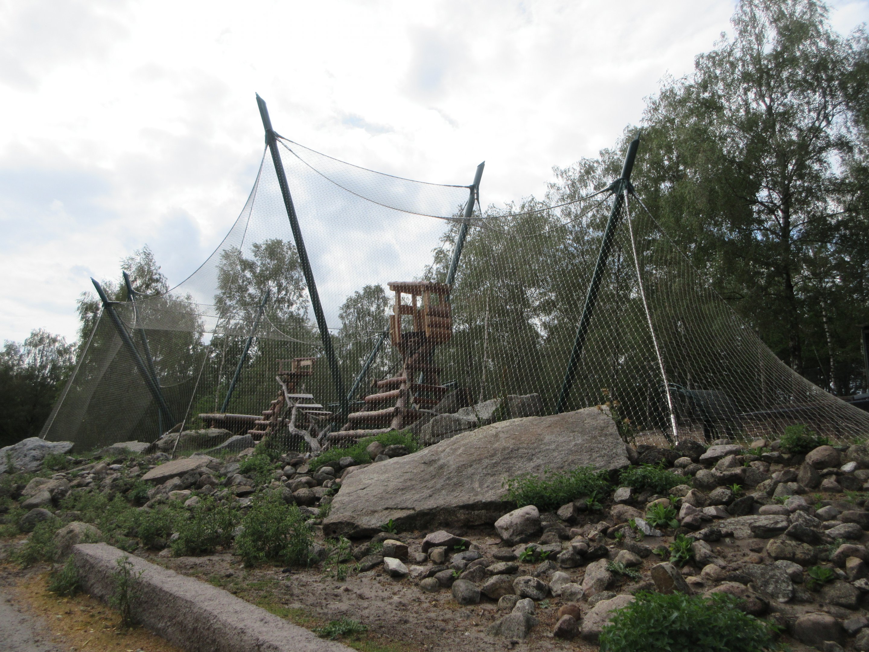 Serengeti Safari - Leopard Exhibit