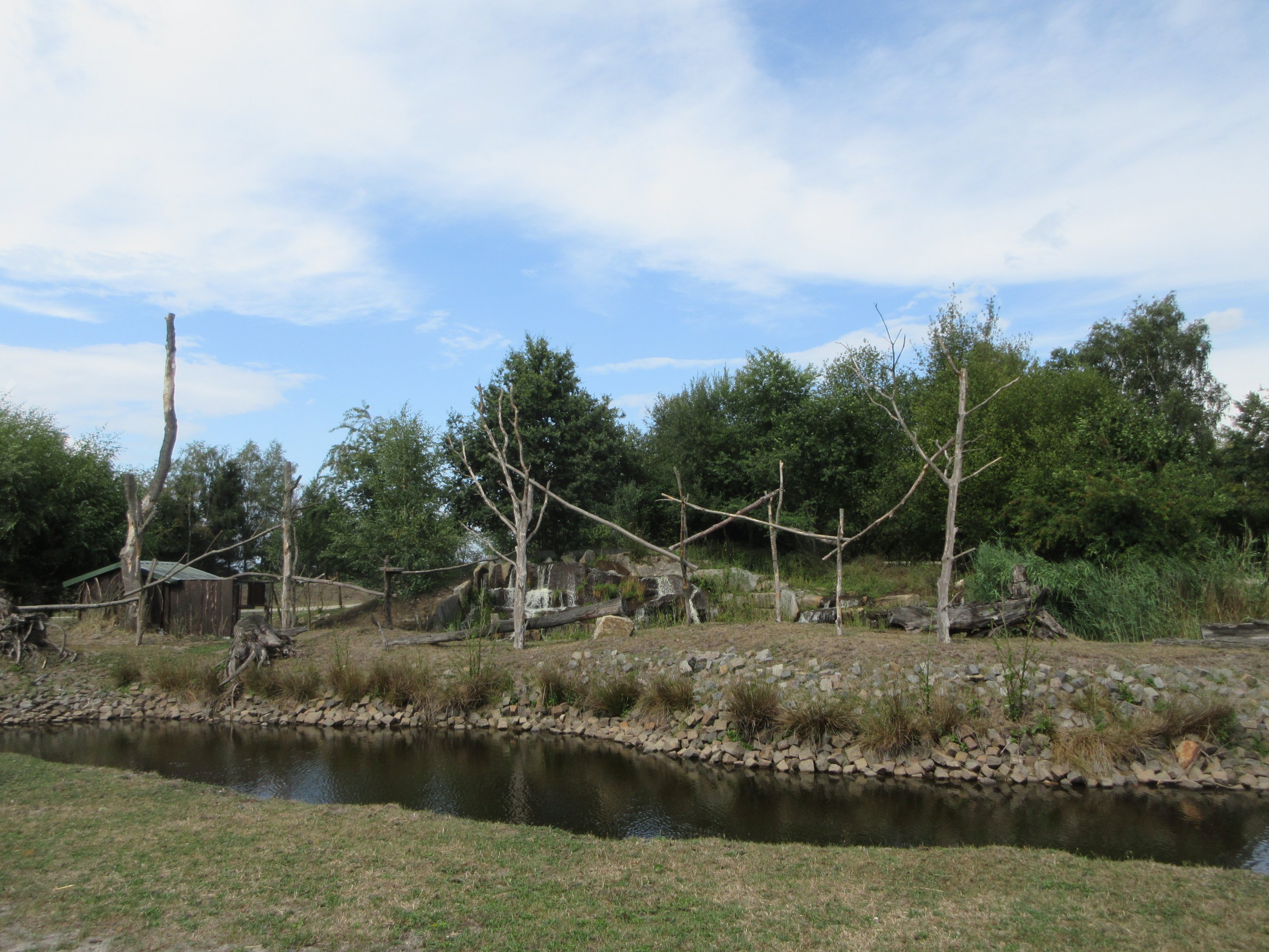 Serengeti Safari - White-headed Brown Lemur Exhibit