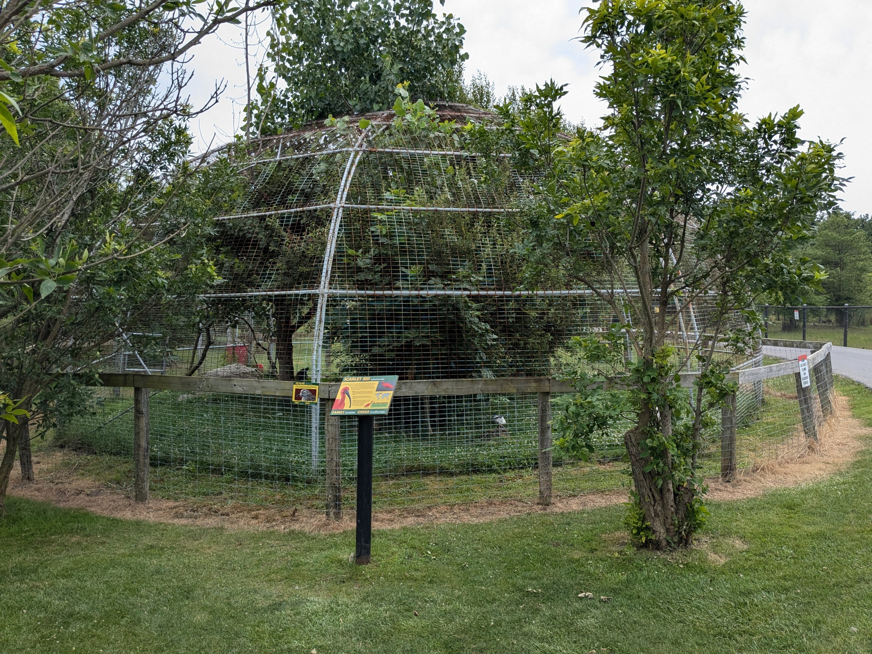 Serengeti Savana - Ibis dome