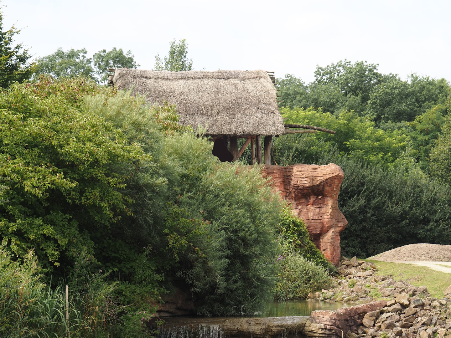 Serengeti View - Viewing area for Bush/Tree savanna exhibit, 2024-08-05