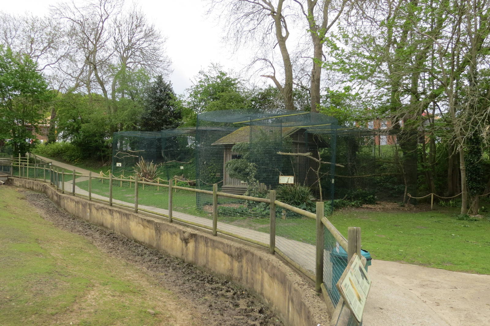Seriema Aviary and Caracara Aviary 070515