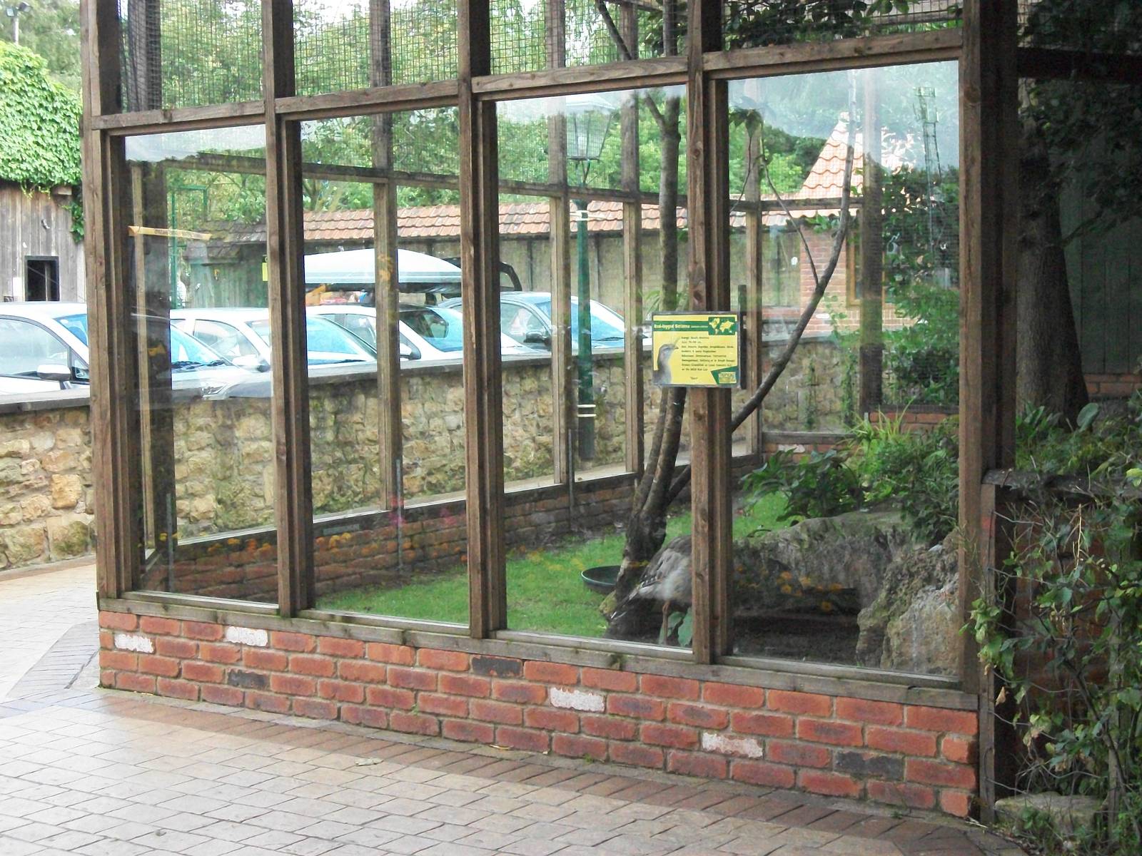 Seriema aviary outside entrance, 3rd August 2012