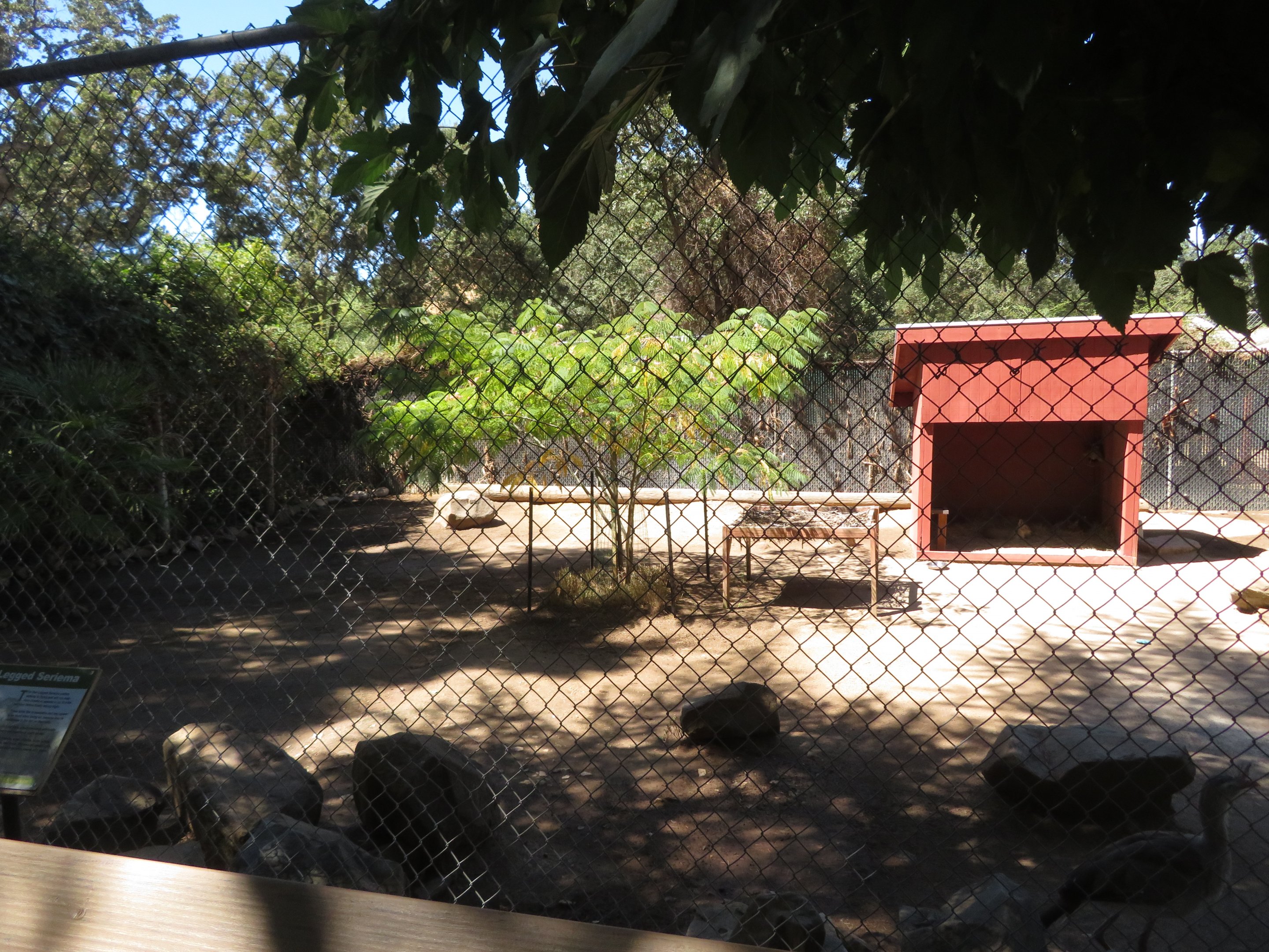 Seriema/Mara Exhibit