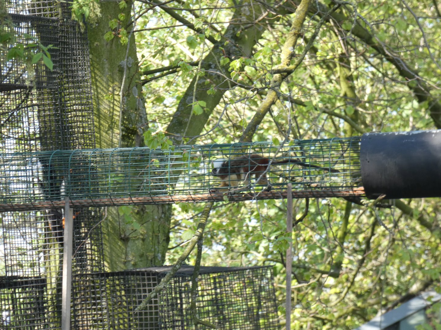 Series of over-head tunnels