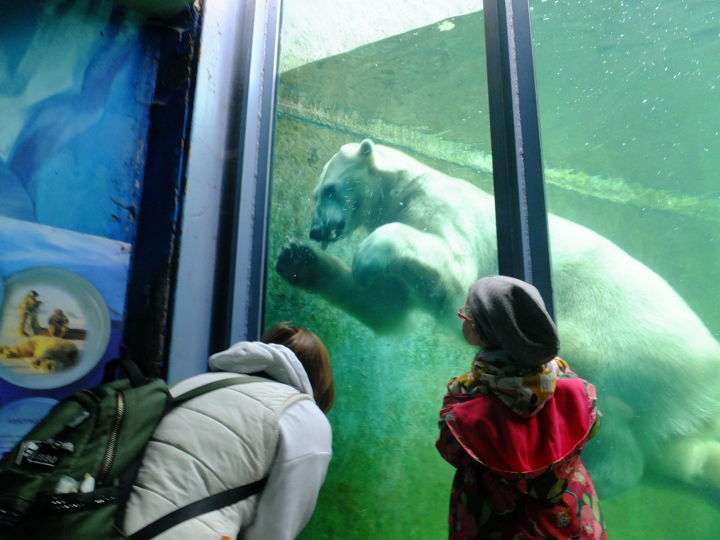 Seriy and his admirors