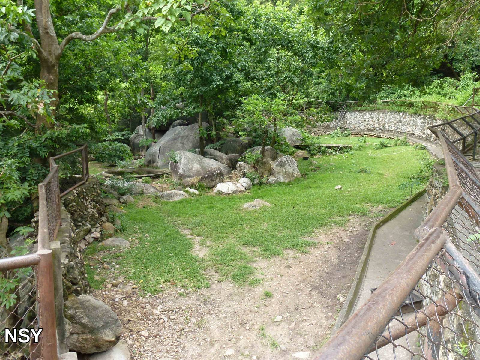 Serow and muntjac enclosure, June 2013.