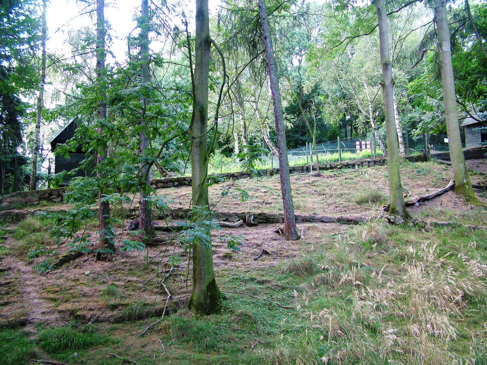 Serow Enclosure at Usti, 29/08/12