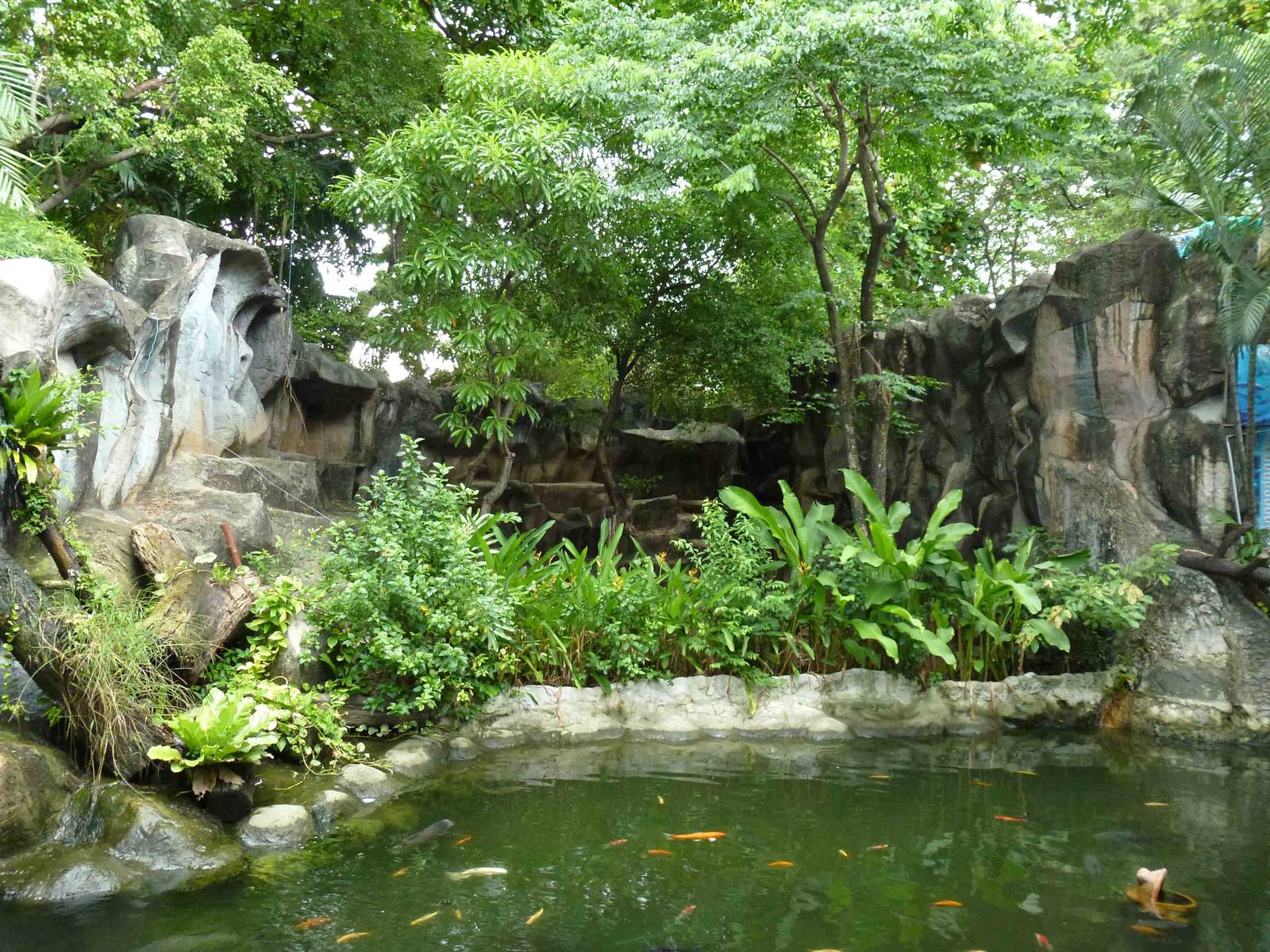 Serow enclosure, July 2013.