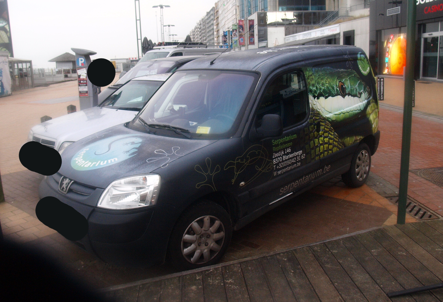 Serpentarium car, 2017-02-06