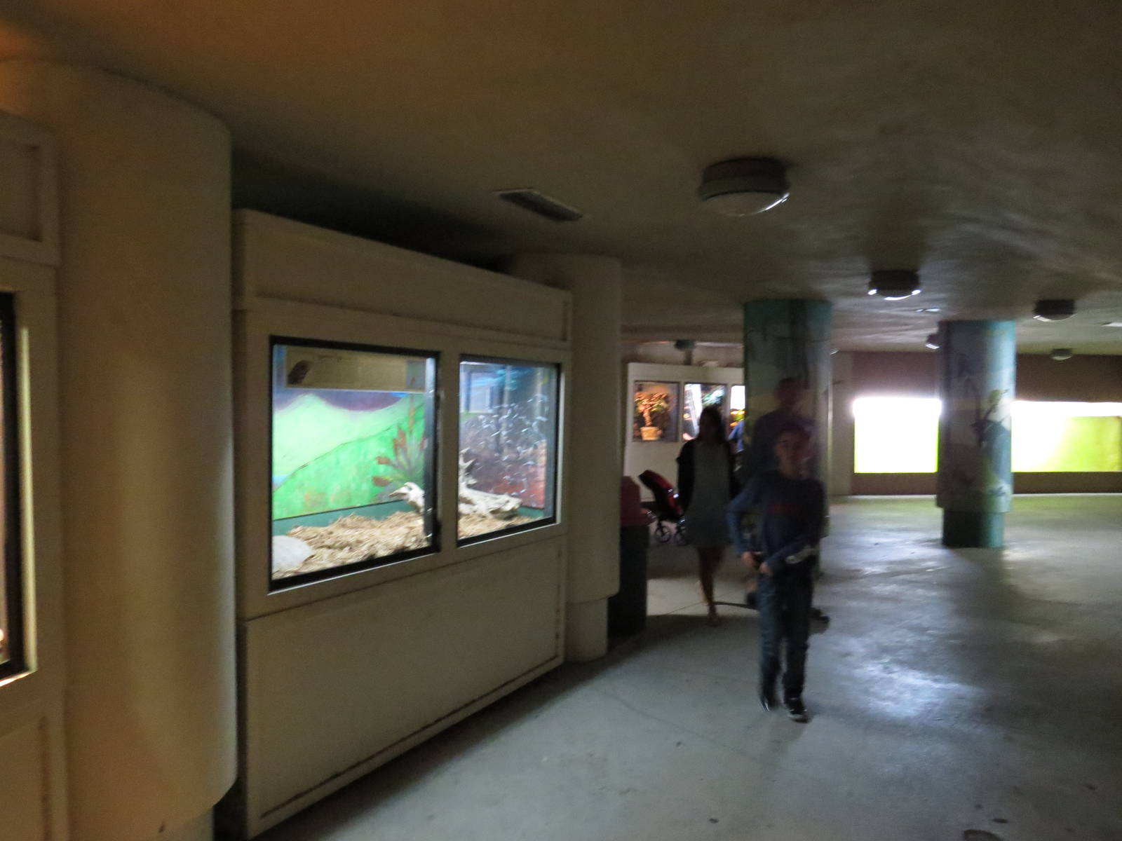 Serpentarium, March 2015