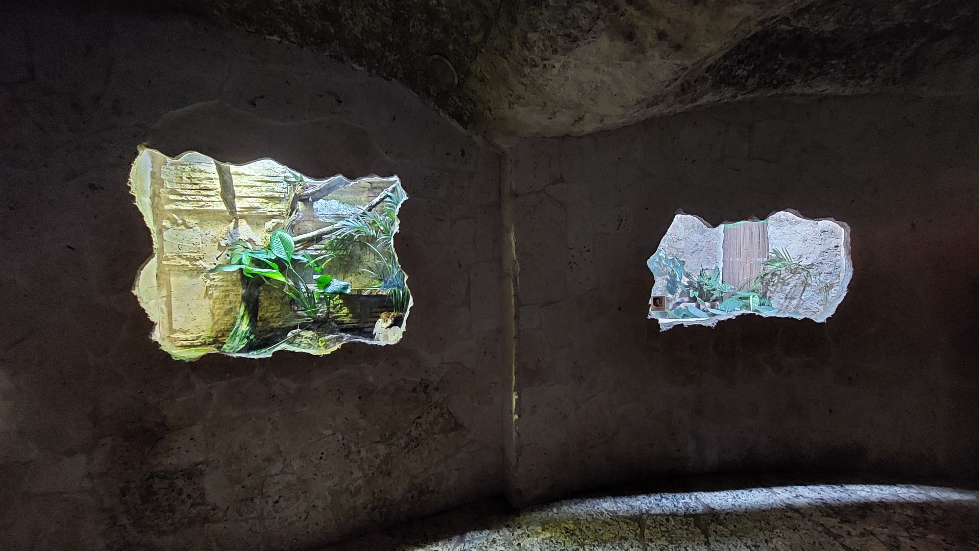 Serpent's den enclosures