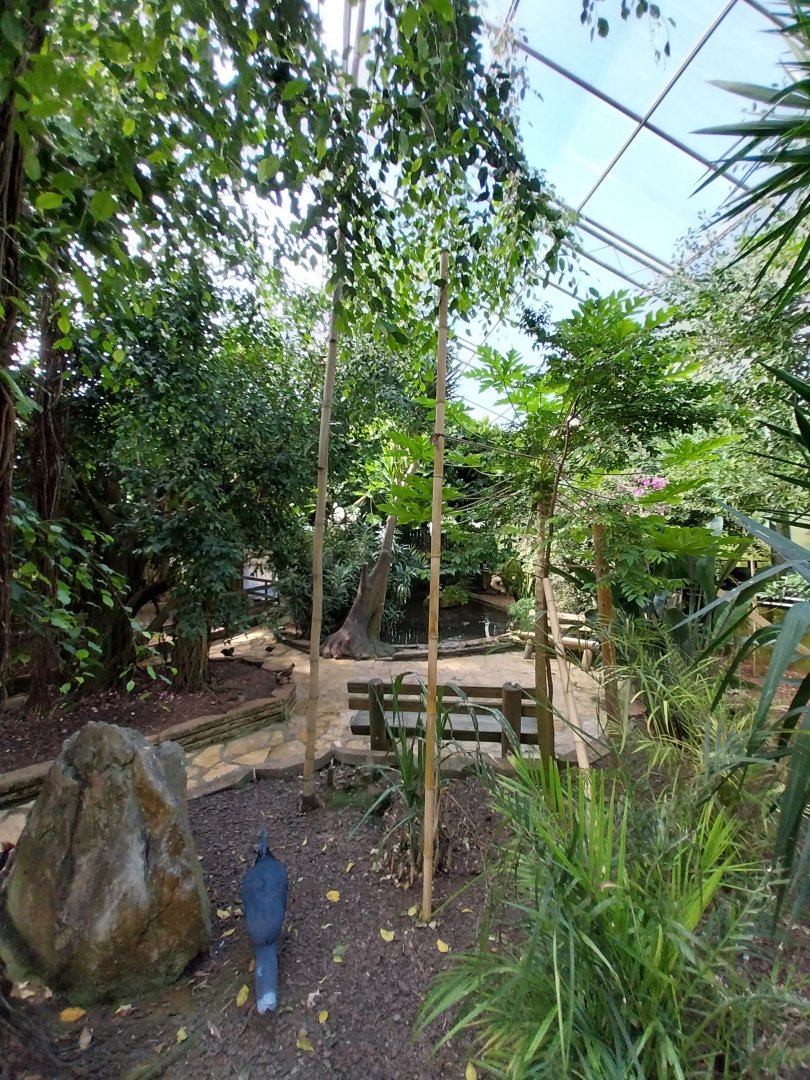 Serre Tropicale