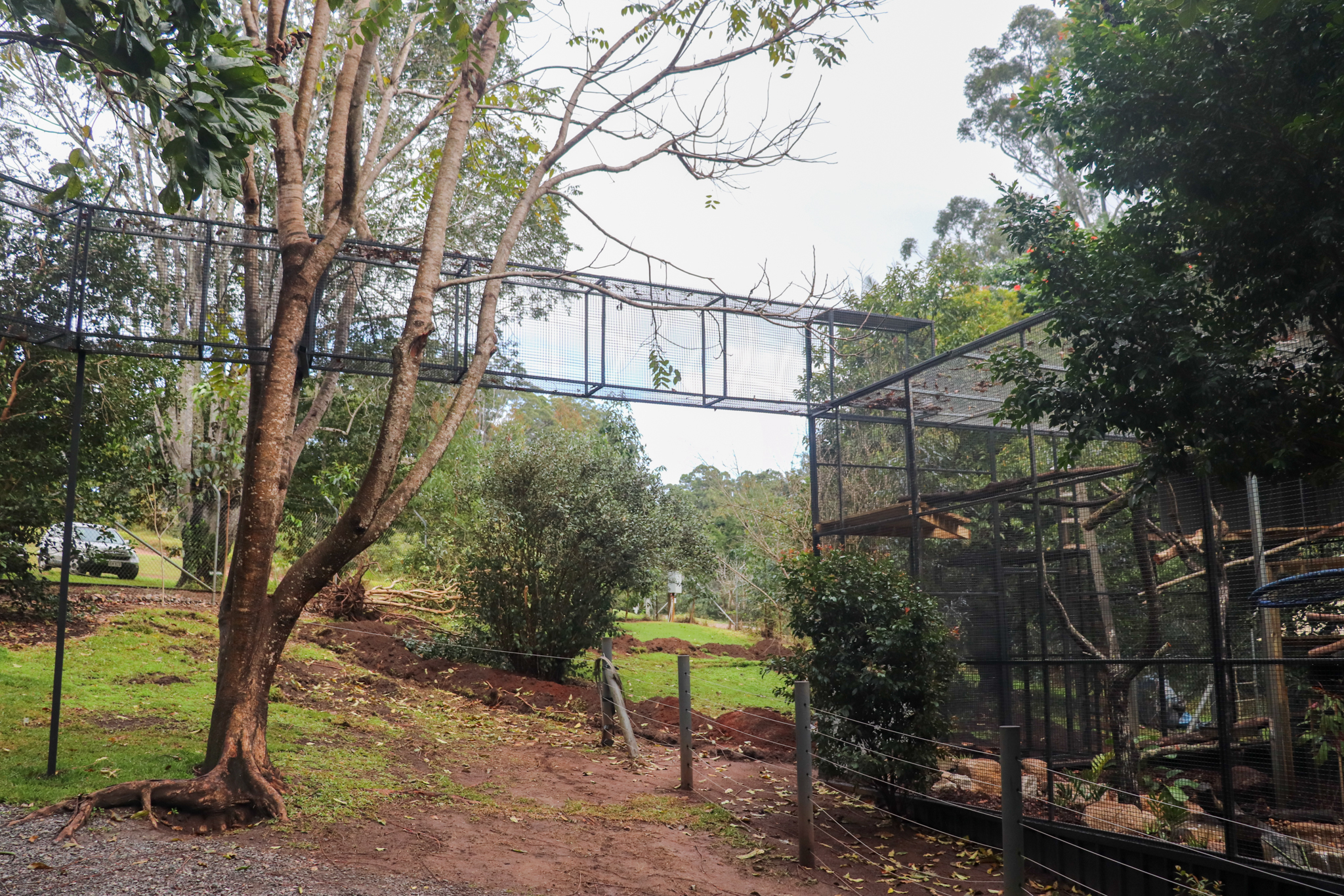 Serval Aerial Walkway
