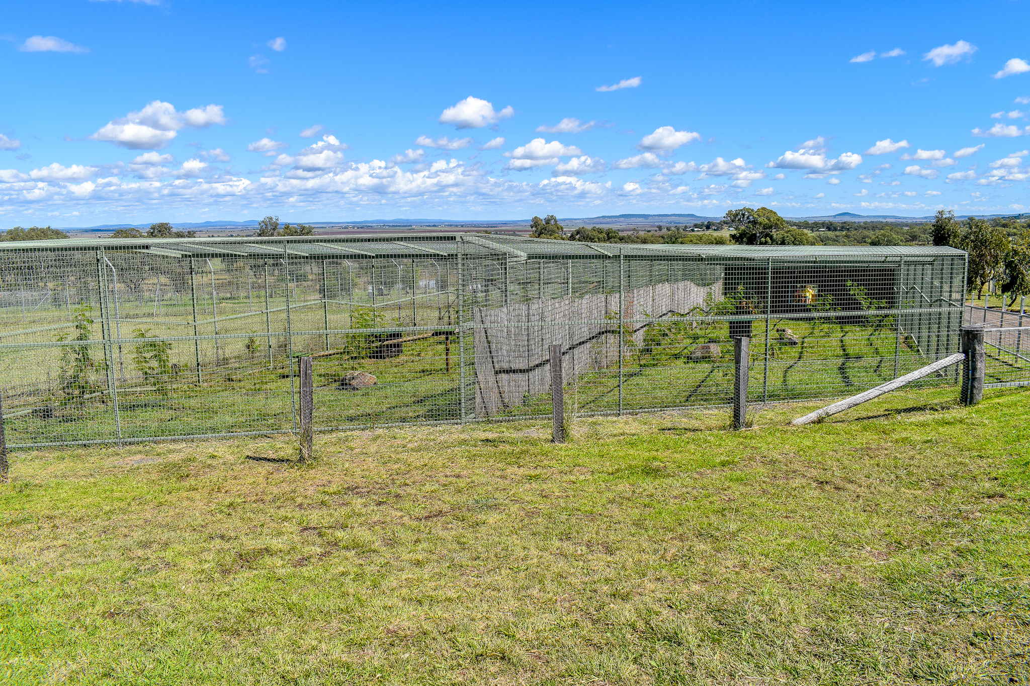Serval and Caracal Enclosures
