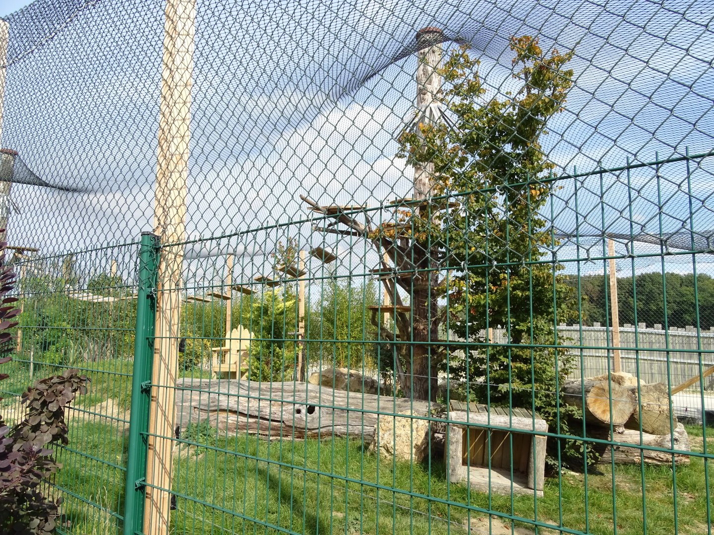 Serval and caracal exhibit