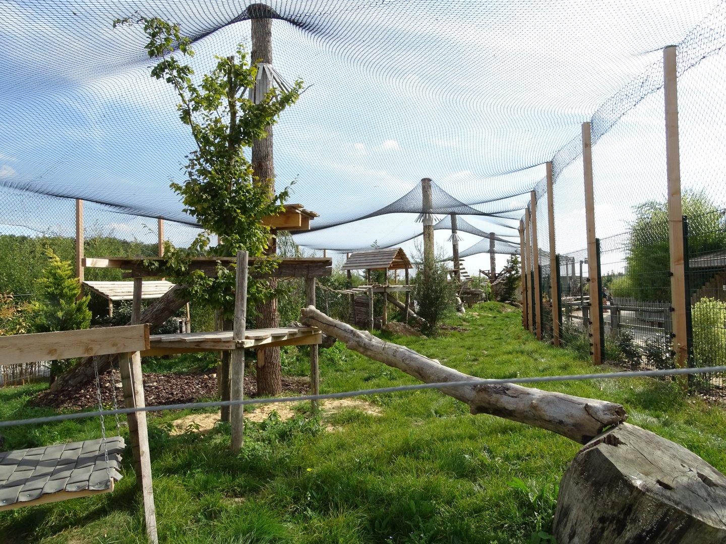 Serval and caracal exhibit