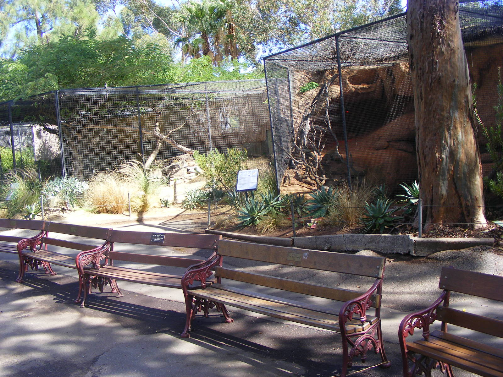 Serval and Fennec Fox Exhibits - April, 2010