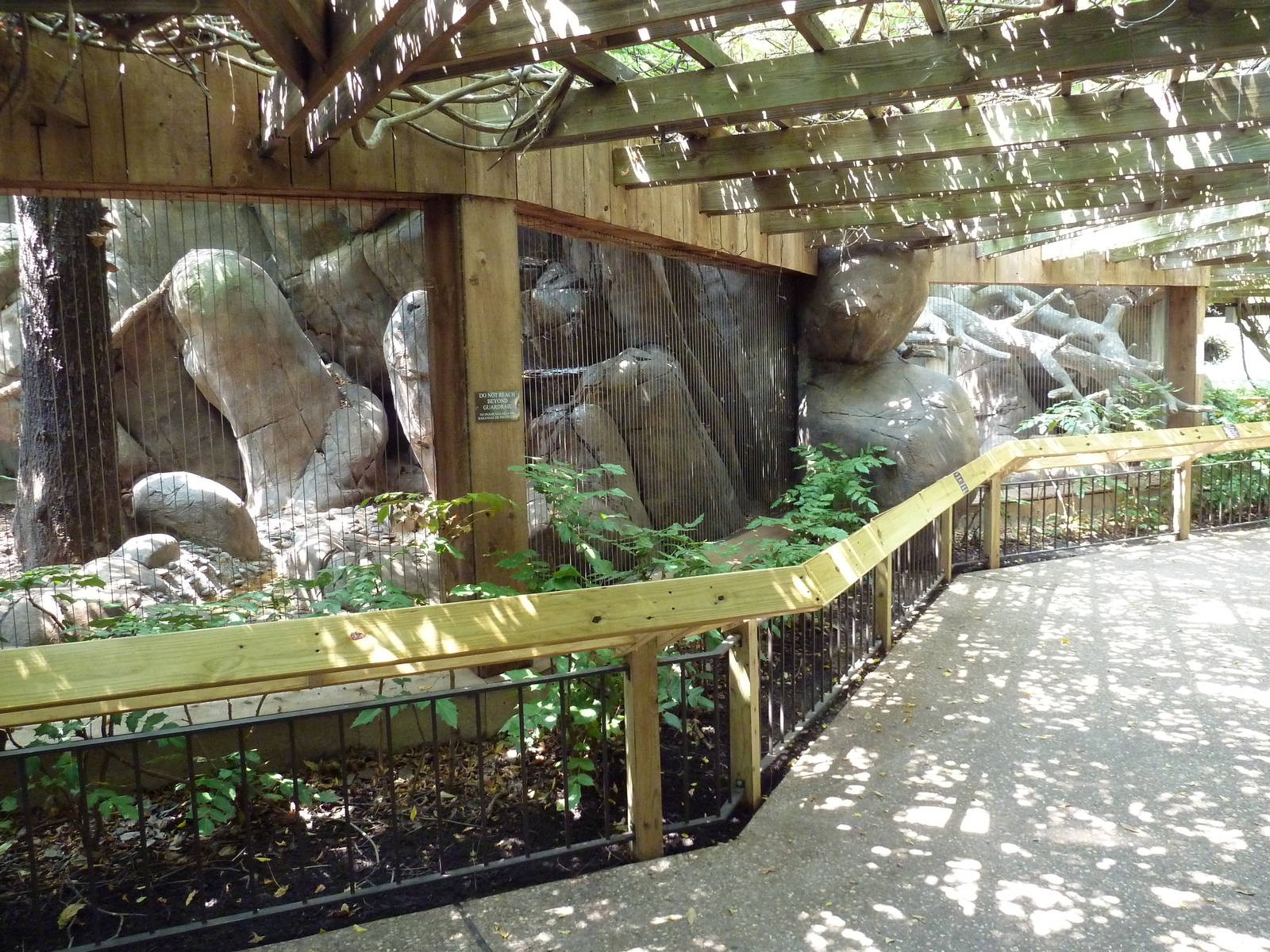 Serval + Bobcat Exhibits