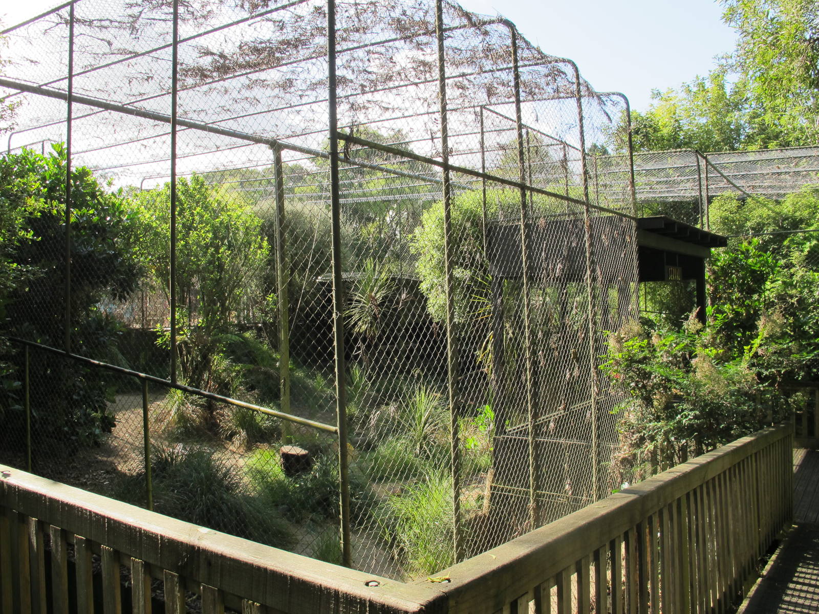 Serval Cage - Hamilton Zoo 2012