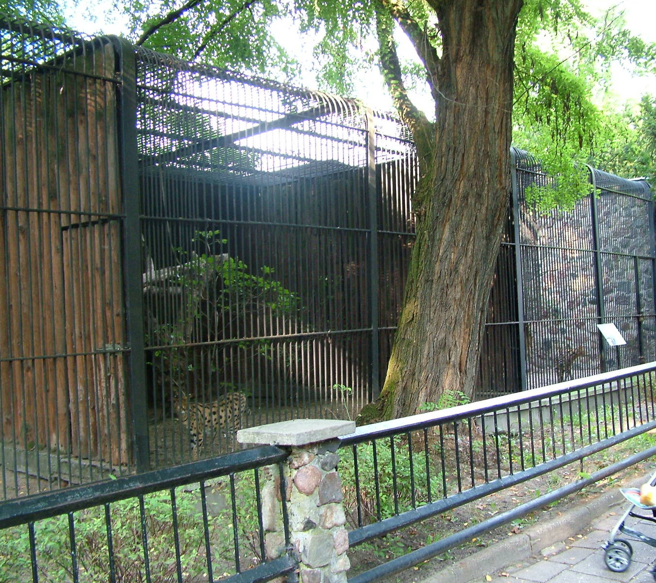 Serval cages at Warsaw Zoo Sept 2008