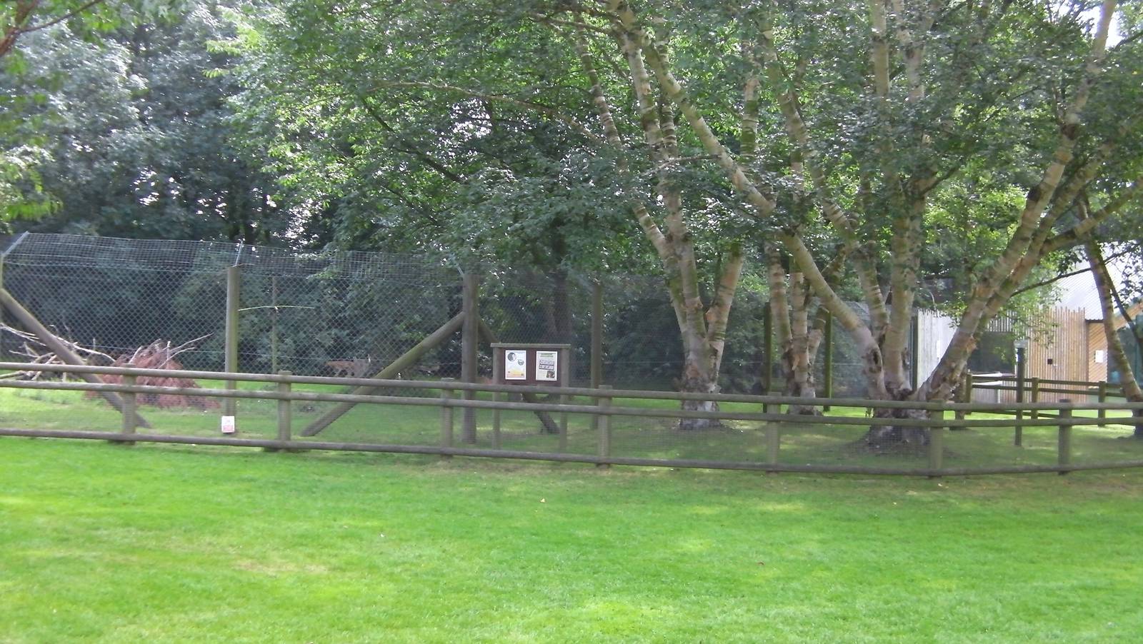 Serval Enclosure - 02.08.2011