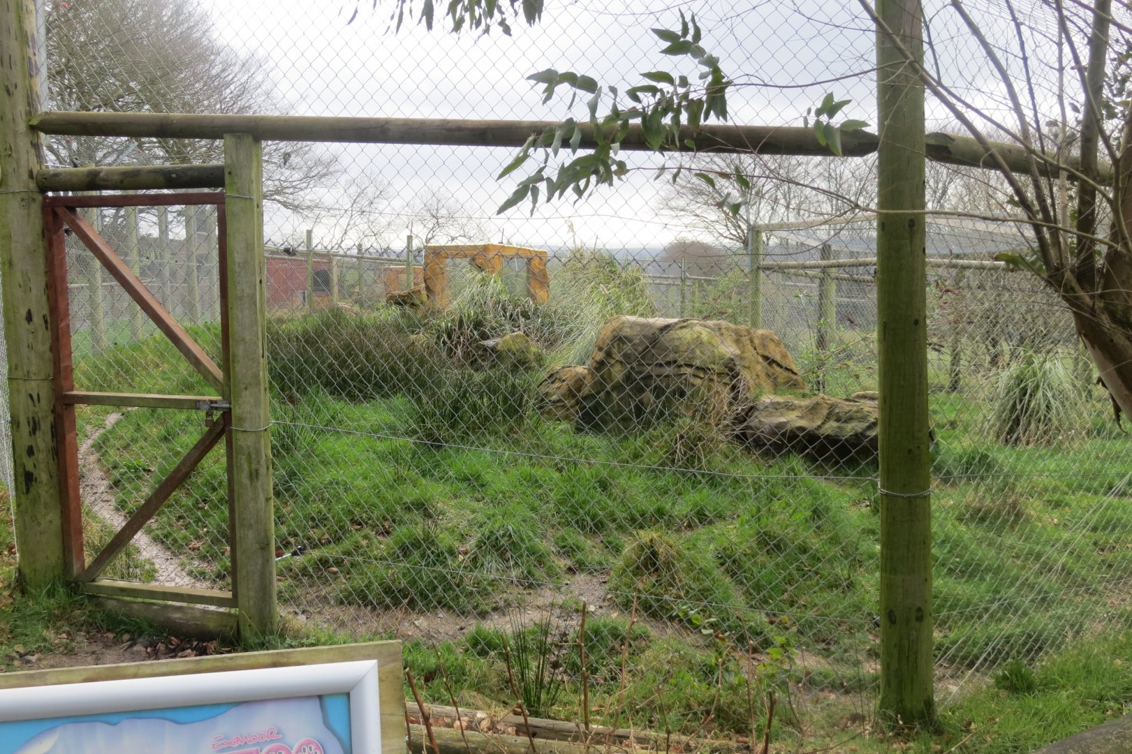 Serval enclosure 040319