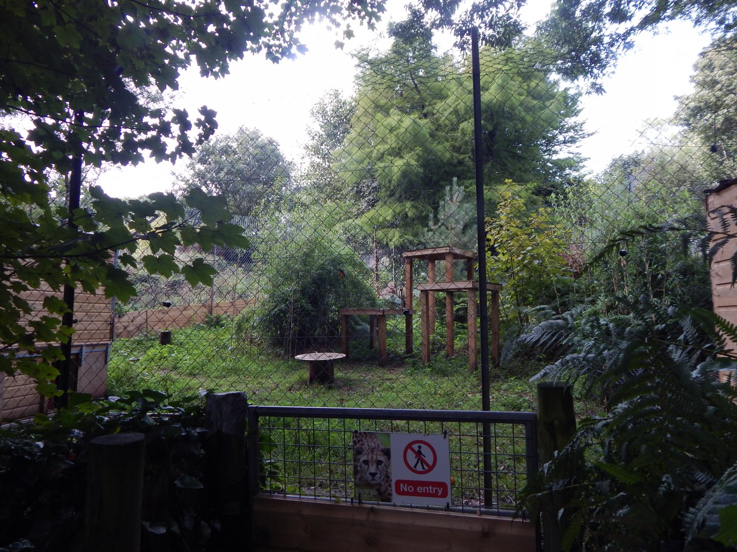 Serval enclosure 050925