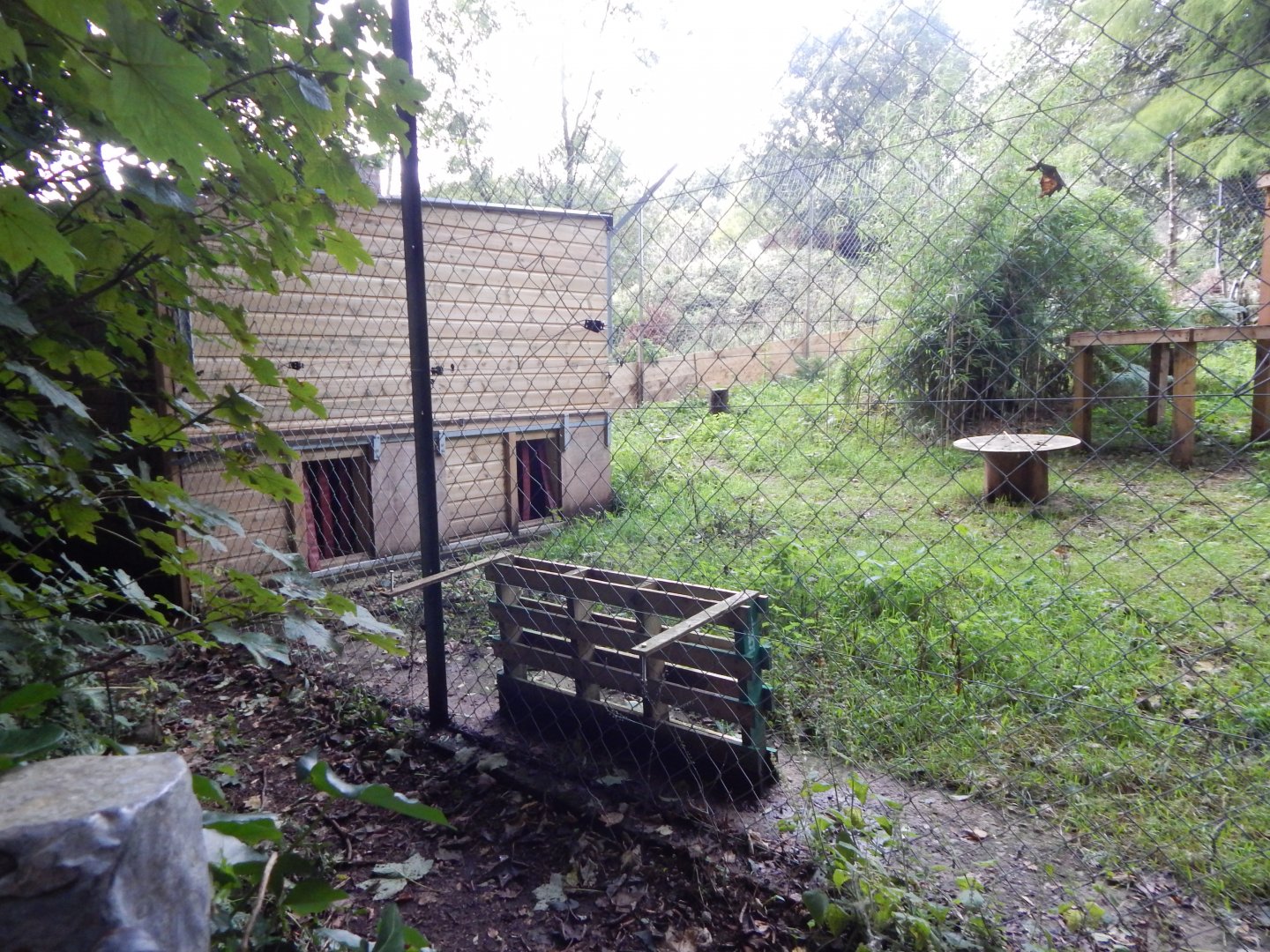 Serval enclosure 050925